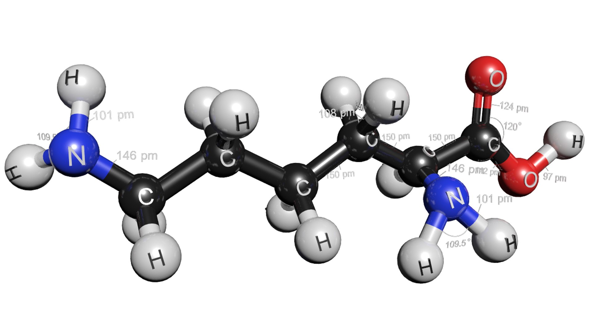 3D c6h14n2o2 lysine model https://p.turbosquid.com/ts-thumb/ib/WB4BVN/aYixhu7X/lysine5/png/1562933032/1920x1080/fit_q87/a4c6dfa695870ba3e2ae0ff87055347f1a4da35b/lysine5.jpg