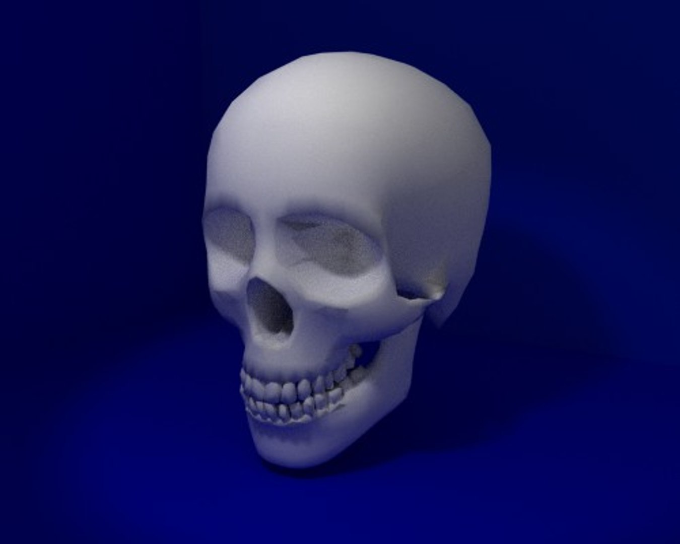 Skeleton Head 3d Model