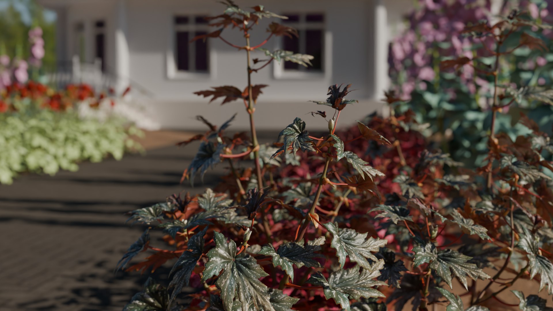 Garden Flowers 3D https://p.turbosquid.com/ts-thumb/ib/fWyw7q/4q/house9/png/1755032855/1920x1080/fit_q87/cc456c75728044d13b835fc947f0c449f47cb256/house9.jpg