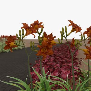 Garden Flowers 3D