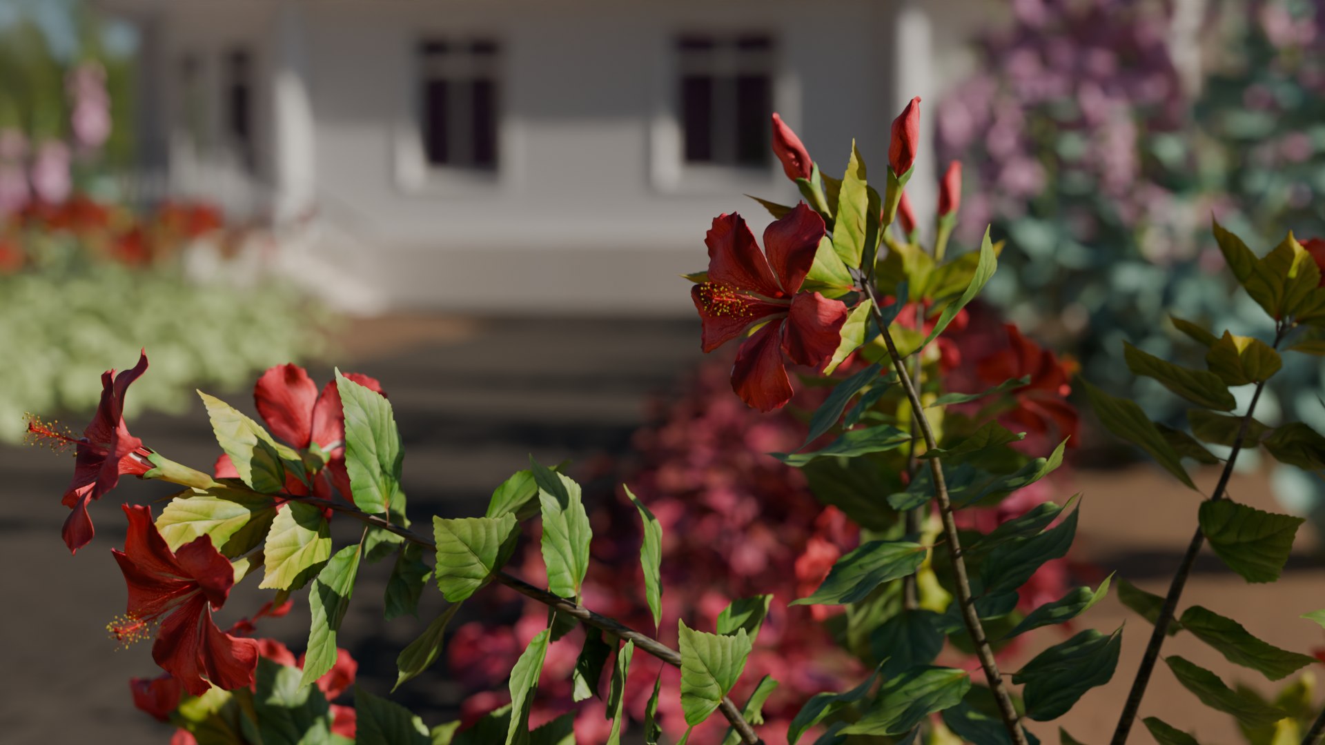 Garden Flowers 3D https://p.turbosquid.com/ts-thumb/ib/fWyw7q/cK/house8/png/1755032855/1920x1080/fit_q87/0ee34e8588f9e9ce19ddbe76cddf977981722e5c/house8.jpg