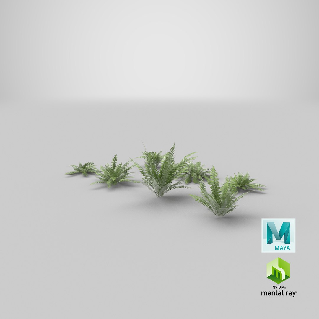 3D 01-07 fern model https://p.turbosquid.com/ts-thumb/ib/ibR5pX/0HcztqgT/stemcell_maya_mental_ray_render/png/1599116801/1920x1080/fit_q87/f630035962893f199bba205a6b41f7e74c6dc0d5/stemcell_maya_mental_ray_render.jpg