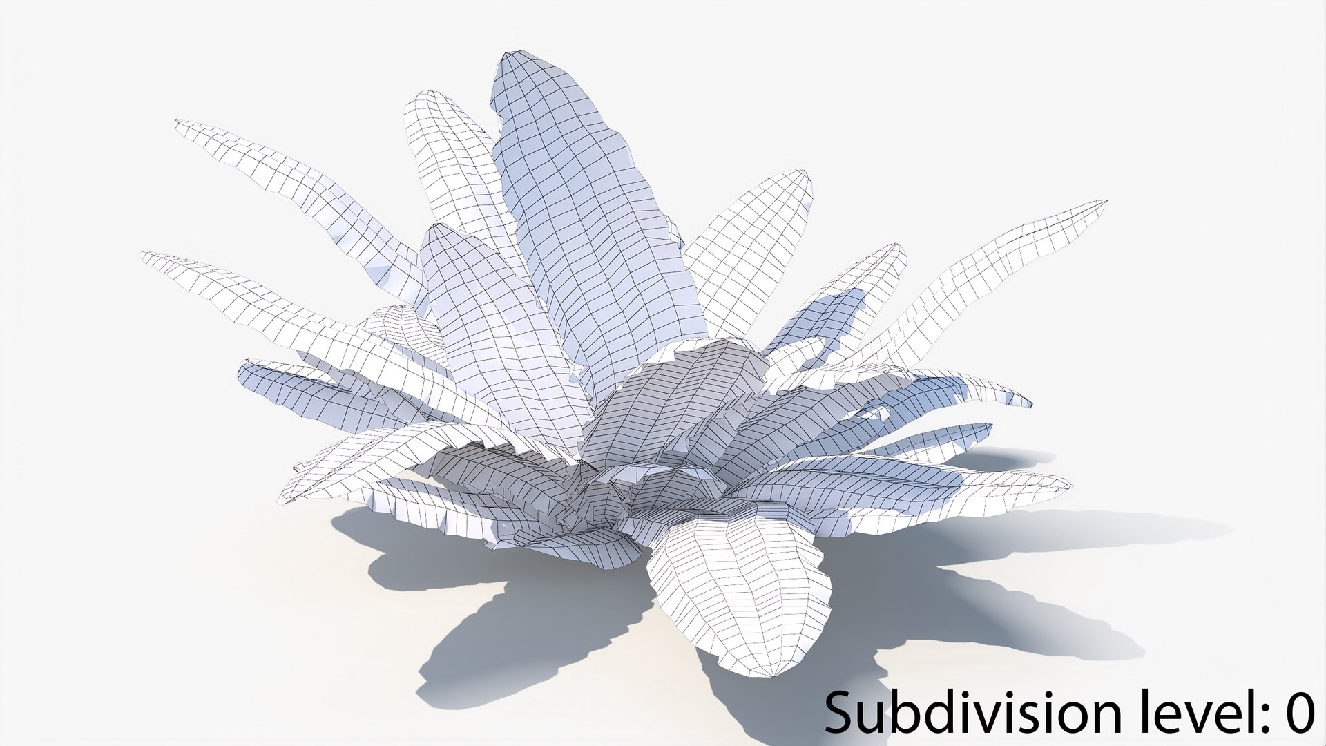 3D 01-07 fern model https://p.turbosquid.com/ts-thumb/ib/ibR5pX/0i5YB7fP/w_0006/jpg/1598602986/1920x1080/fit_q87/6fc40161e0aa1872c268a57657712b01fdcfa55f/w_0006.jpg