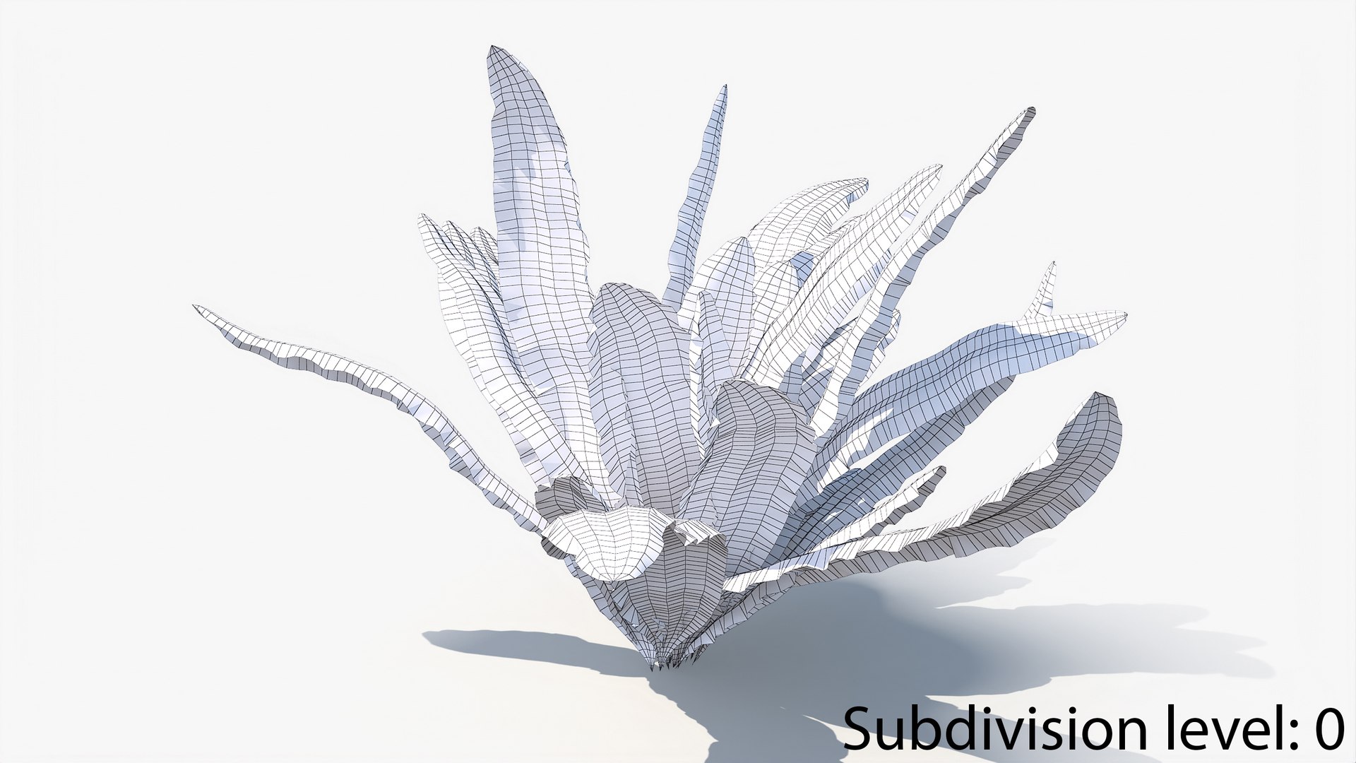 3D 01-07 fern model https://p.turbosquid.com/ts-thumb/ib/ibR5pX/1NxiJM9N/w_0000/jpg/1598603124/1920x1080/fit_q87/5f6d554bc0ae3f78eded288fd615e17c2b3535fe/w_0000.jpg