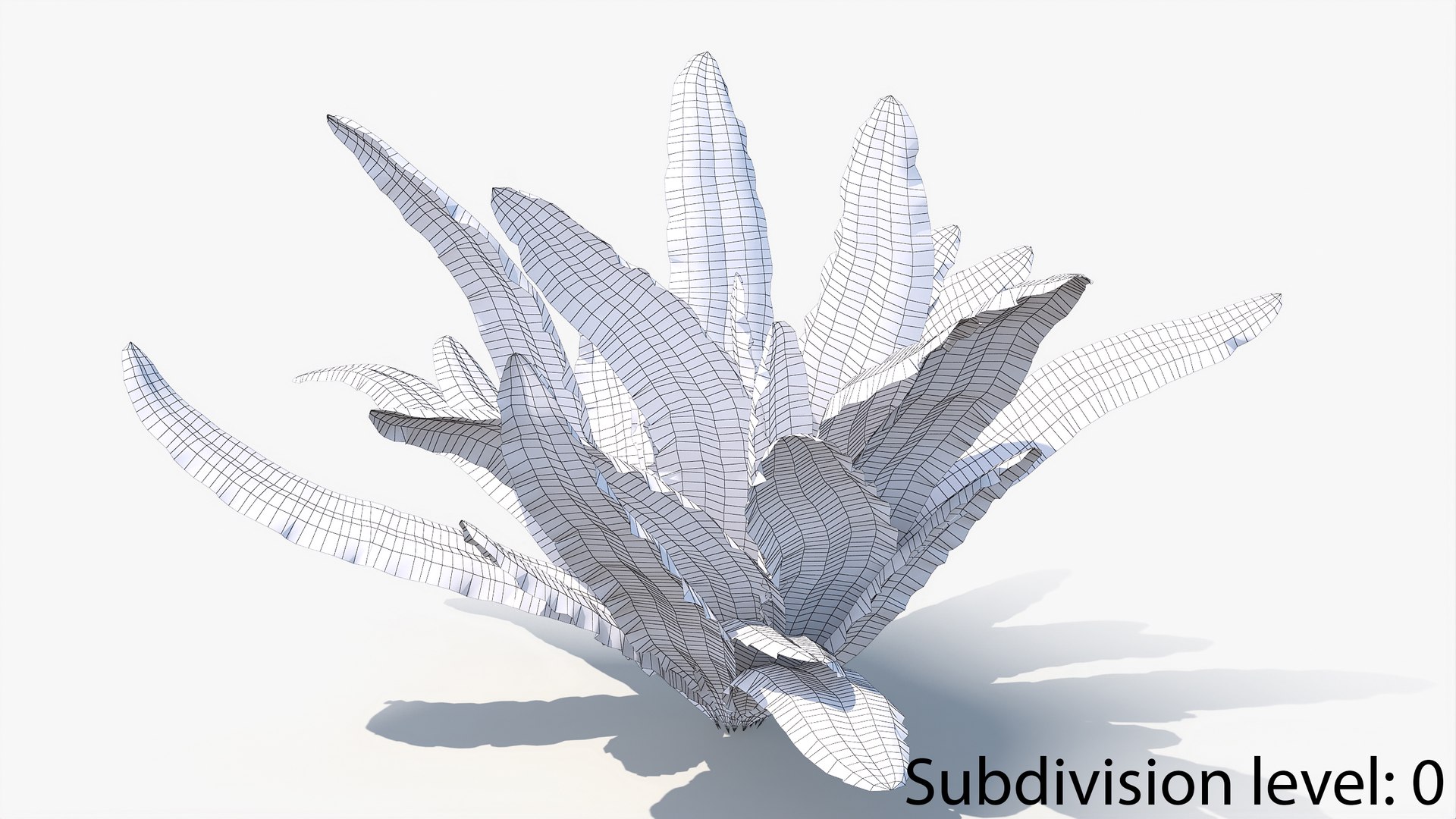 3D 01-07 fern model https://p.turbosquid.com/ts-thumb/ib/ibR5pX/2MJ2ciLM/w_0012/jpg/1598603124/1920x1080/fit_q87/d6099f3825f69b657fde94180166ade0b5479c92/w_0012.jpg