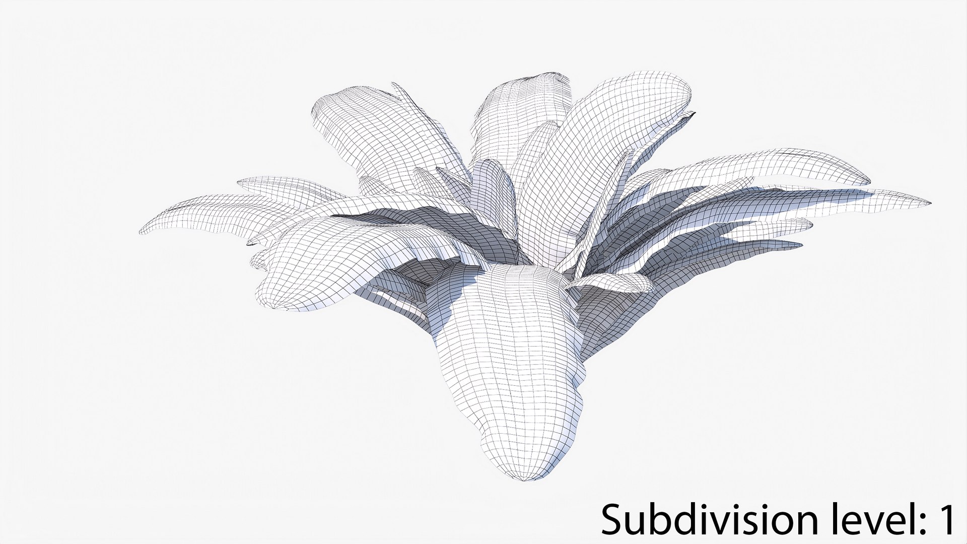 3D 01-07 fern model https://p.turbosquid.com/ts-thumb/ib/ibR5pX/6r84DiJe/w2_0003/jpg/1598603364/1920x1080/fit_q87/29f4fc8a0221448834bf28f213e4582065bfbb26/w2_0003.jpg