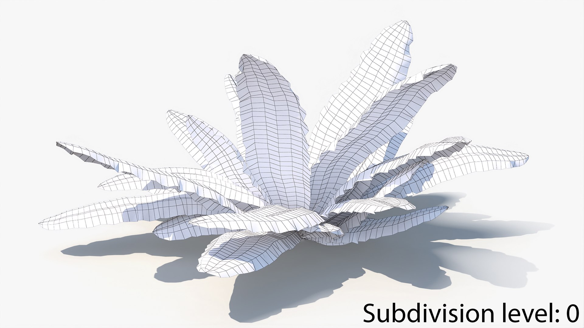 3D 01-07 fern model https://p.turbosquid.com/ts-thumb/ib/ibR5pX/90PS5Wgz/w_0012/jpg/1598602991/1920x1080/fit_q87/684017bcbe6265a4fdd333e32089bed7d5d036ad/w_0012.jpg