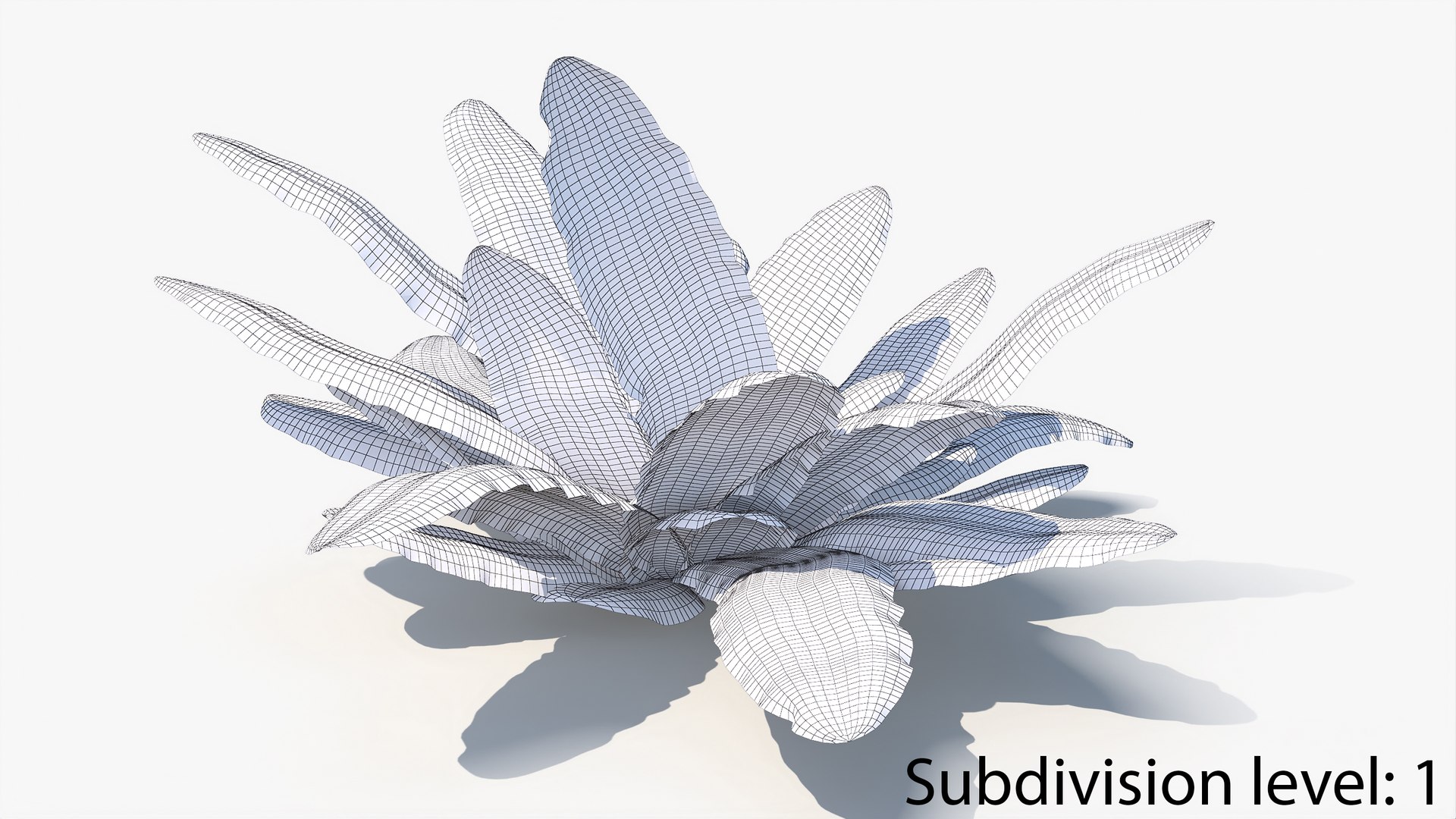 3D 01-07 fern model https://p.turbosquid.com/ts-thumb/ib/ibR5pX/DAUQQUW7/w2_0006/jpg/1598602992/1920x1080/fit_q87/666ccd29bd070f7576ce3c748d7317eef2a27120/w2_0006.jpg