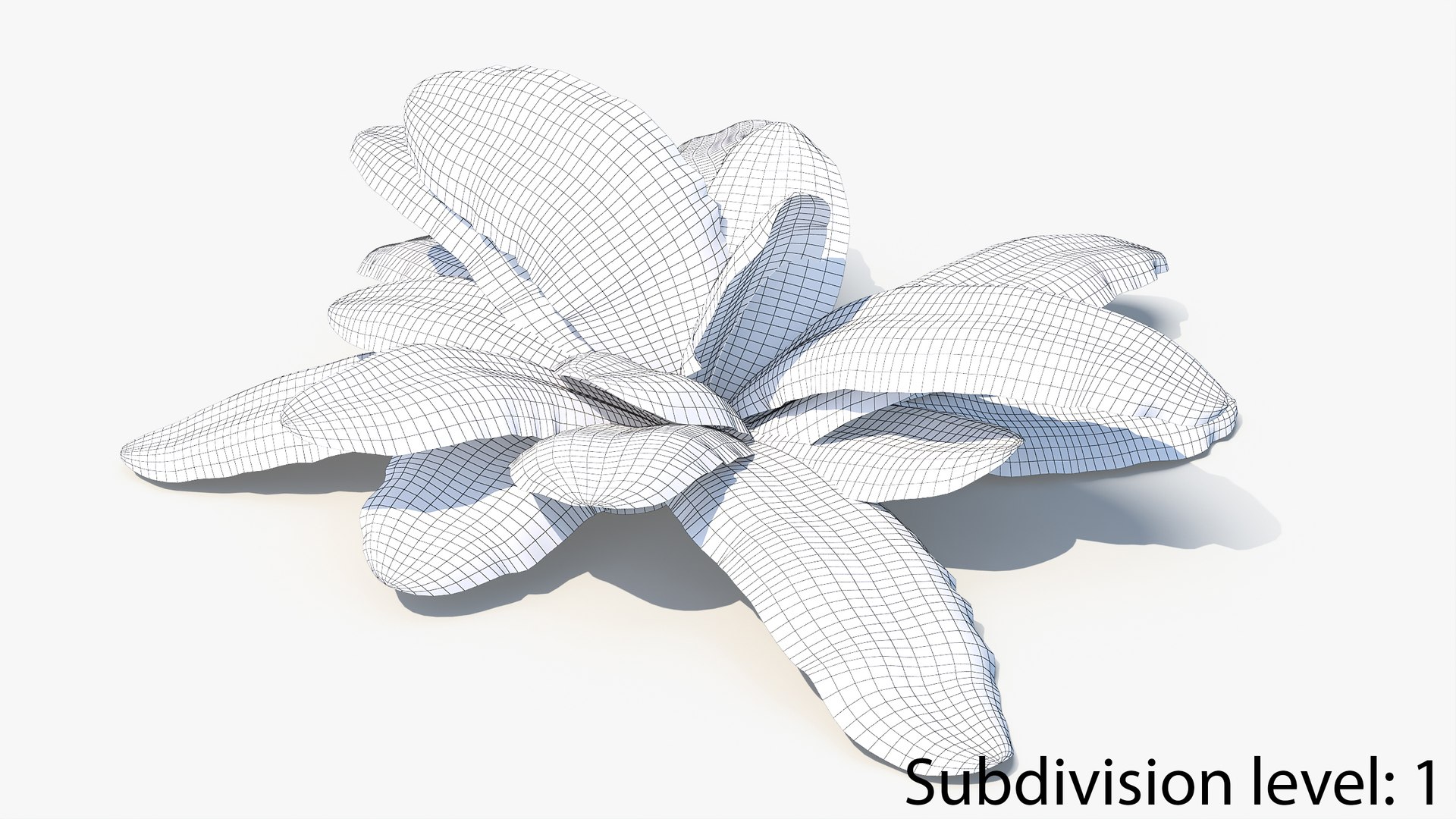3D 01-07 fern model https://p.turbosquid.com/ts-thumb/ib/ibR5pX/EbpThIRM/w2_0006/jpg/1598602862/1920x1080/fit_q87/ecc811c1b0b1a1e8124d6edecd171b523d53b41f/w2_0006.jpg