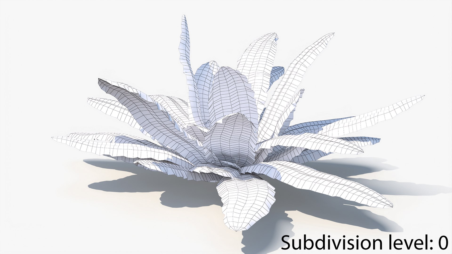 3D 01-07 fern model https://p.turbosquid.com/ts-thumb/ib/ibR5pX/FMGYK6IF/w_0000/jpg/1598602986/1920x1080/fit_q87/ca0fe08ddf111288e7bf029dfc7002b5b1fbda94/w_0000.jpg
