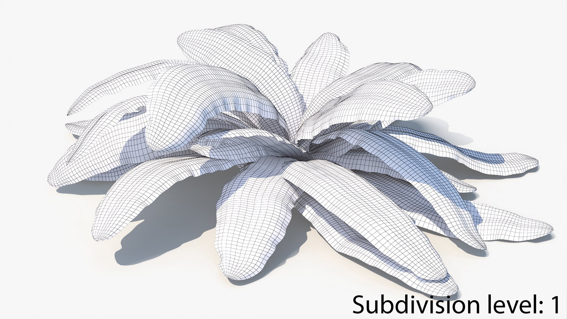 3D 01-07 fern model https://p.turbosquid.com/ts-thumb/ib/ibR5pX/FcCBoyJ3/w2_0000/jpg/1598603467/1920x1080/fit_q87/18834d735c4d9e32c5212a522fb3c71508278198/w2_0000.jpg
