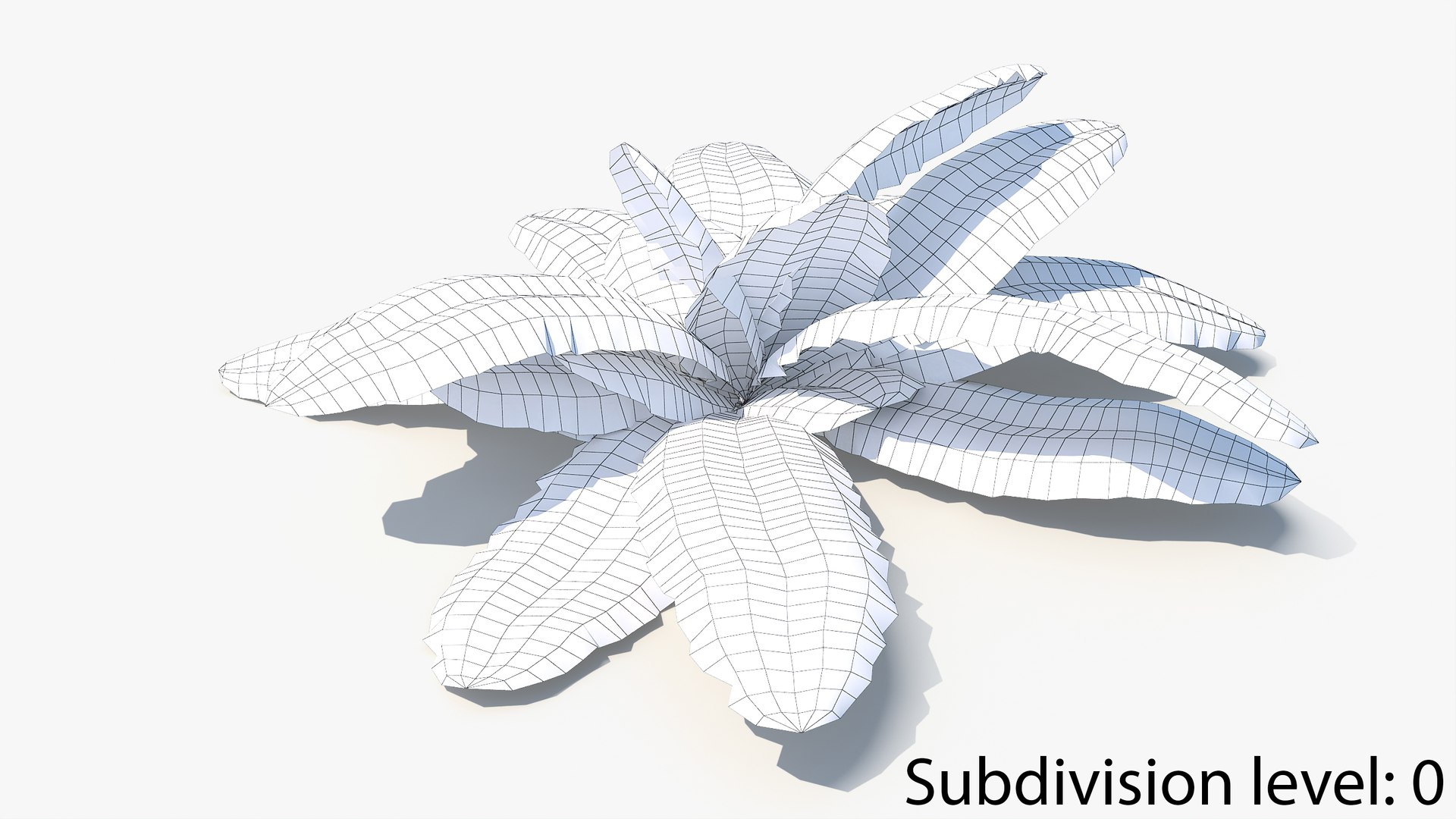 3D 01-07 fern model https://p.turbosquid.com/ts-thumb/ib/ibR5pX/GatVNt3a/w_0000/jpg/1598602858/1920x1080/fit_q87/dfa0bd91189678c36bc6394813eea1952f0ba6ec/w_0000.jpg