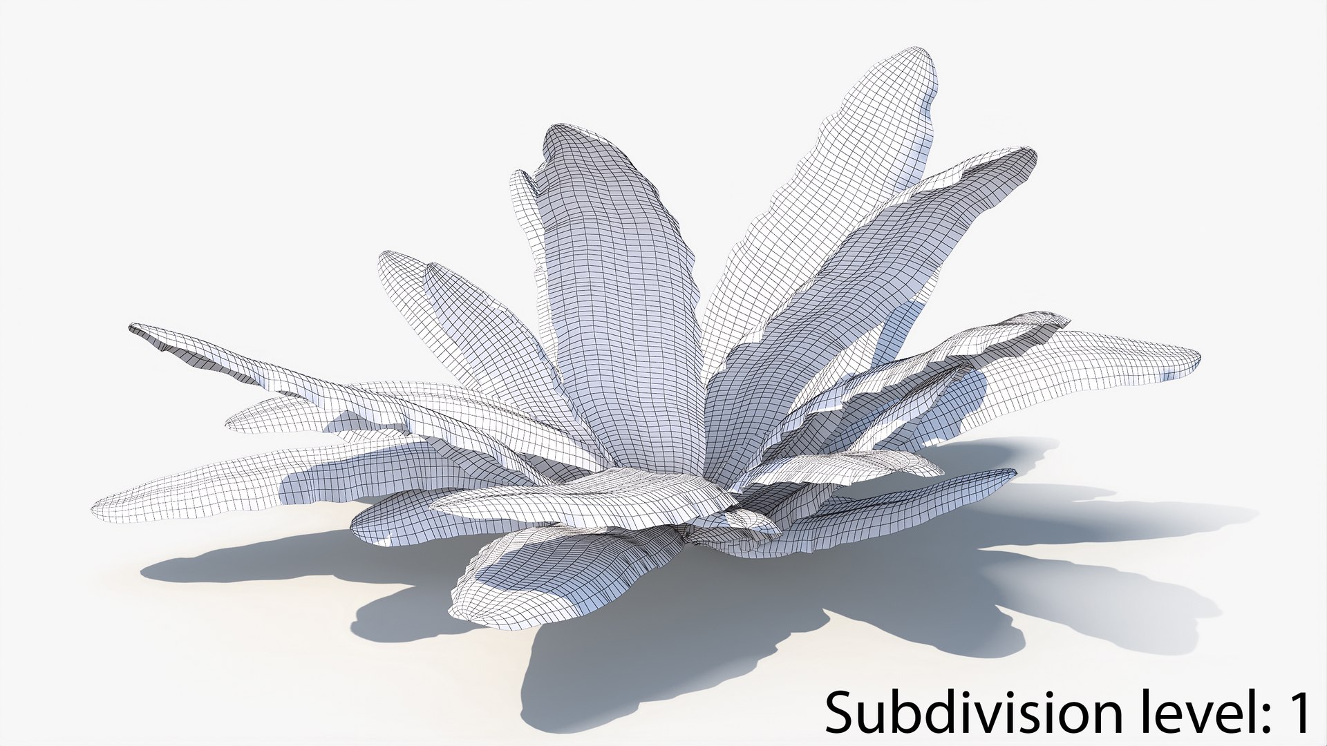 3D 01-07 fern model https://p.turbosquid.com/ts-thumb/ib/ibR5pX/GhHLaGPu/w2_0012/jpg/1598602999/1920x1080/fit_q87/66ba5db2716ff598aec3910d71b40d8bff46c353/w2_0012.jpg