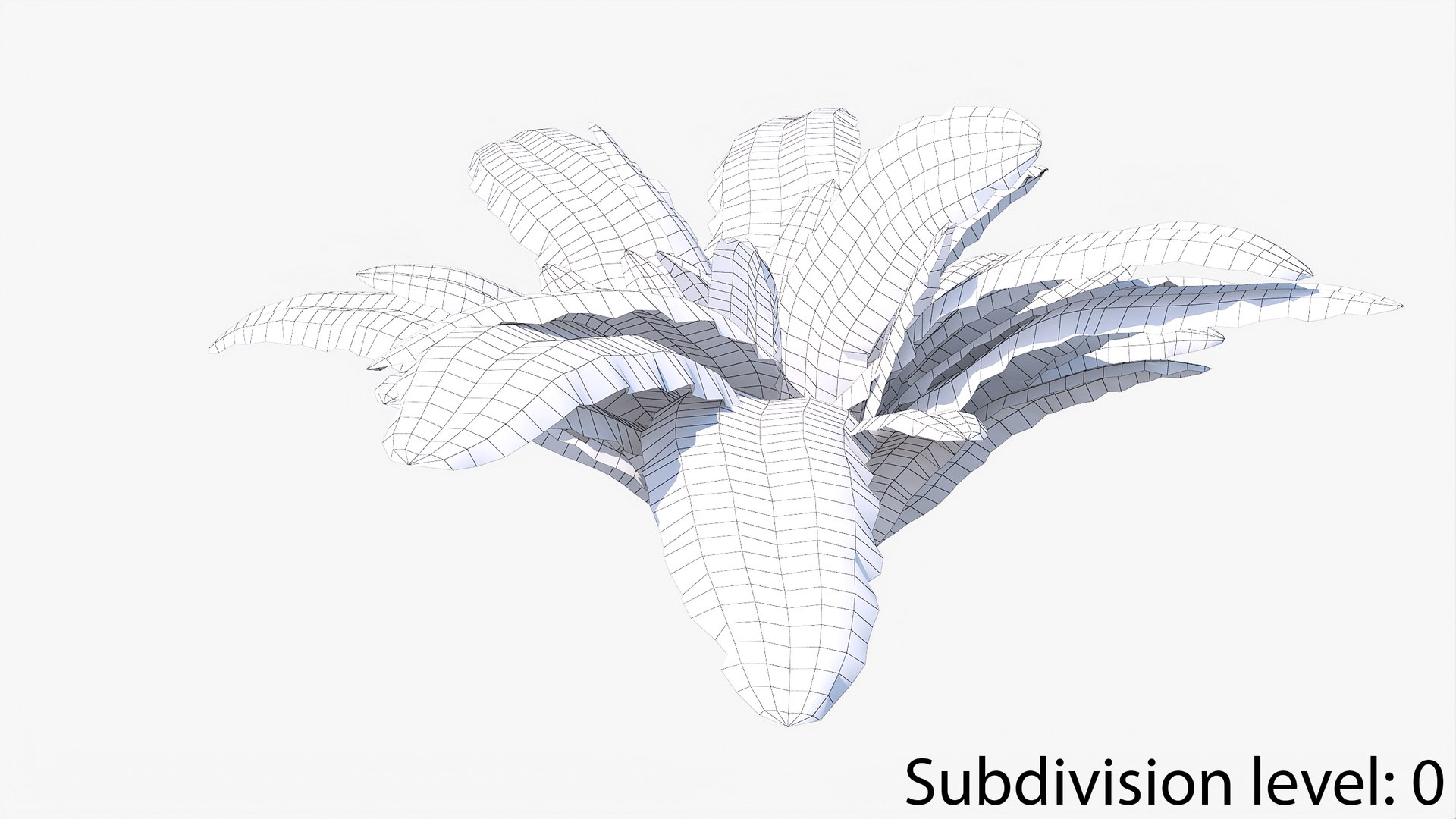 3D 01-07 fern model https://p.turbosquid.com/ts-thumb/ib/ibR5pX/J9uu2KUh/w_0003/jpg/1598603362/1920x1080/fit_q87/05651e15d07a0a648fca5ba553d8617a7b68084e/w_0003.jpg