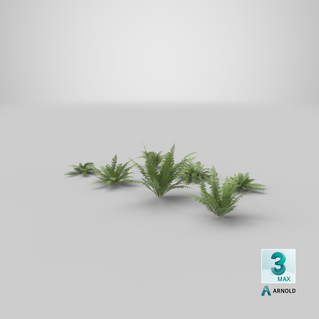 3D 01-07 fern model https://p.turbosquid.com/ts-thumb/ib/ibR5pX/Jt7GVjMh/stemcell_max_arnold_render/png/1599116790/1920x1080/fit_q87/9adbadcc30e82c461d9c808110a8d81583eb3562/stemcell_max_arnold_render.jpg