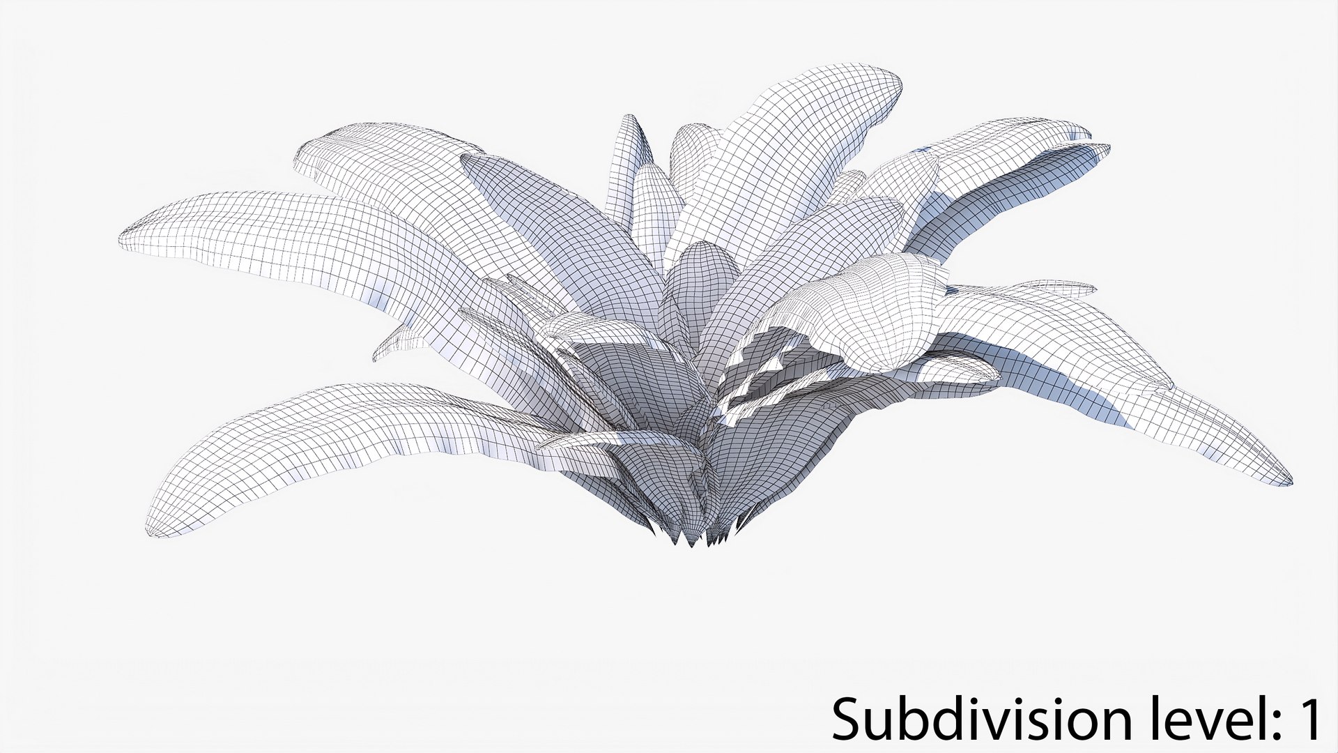 3D 01-07 fern model https://p.turbosquid.com/ts-thumb/ib/ibR5pX/KQjb6Ysy/w2_0006/jpg/1598603365/1920x1080/fit_q87/da7ce8abe1a0f727af640d8cd05a5adba05cf701/w2_0006.jpg