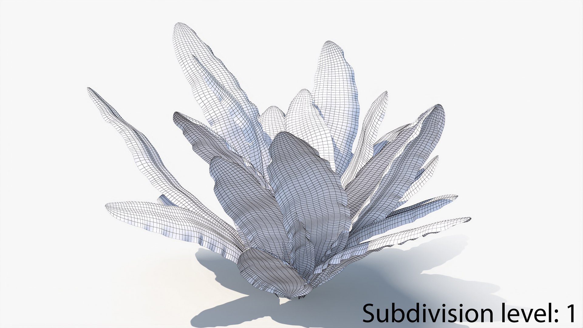 3D 01-07 fern model https://p.turbosquid.com/ts-thumb/ib/ibR5pX/KoPJwBFr/w2_0000/jpg/1598603226/1920x1080/fit_q87/6fe05117267b1955569c408555d7f2c4f073ed1c/w2_0000.jpg