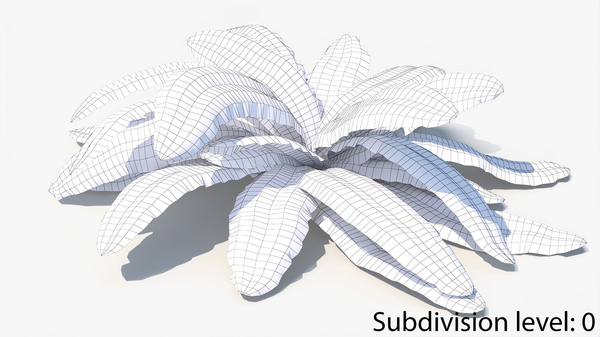 3D 01-07 fern model https://p.turbosquid.com/ts-thumb/ib/ibR5pX/LPRKb6No/w_0000/jpg/1598603465/1920x1080/fit_q87/175322b6b48345ceaa149a2510ae97acf56ce54c/w_0000.jpg