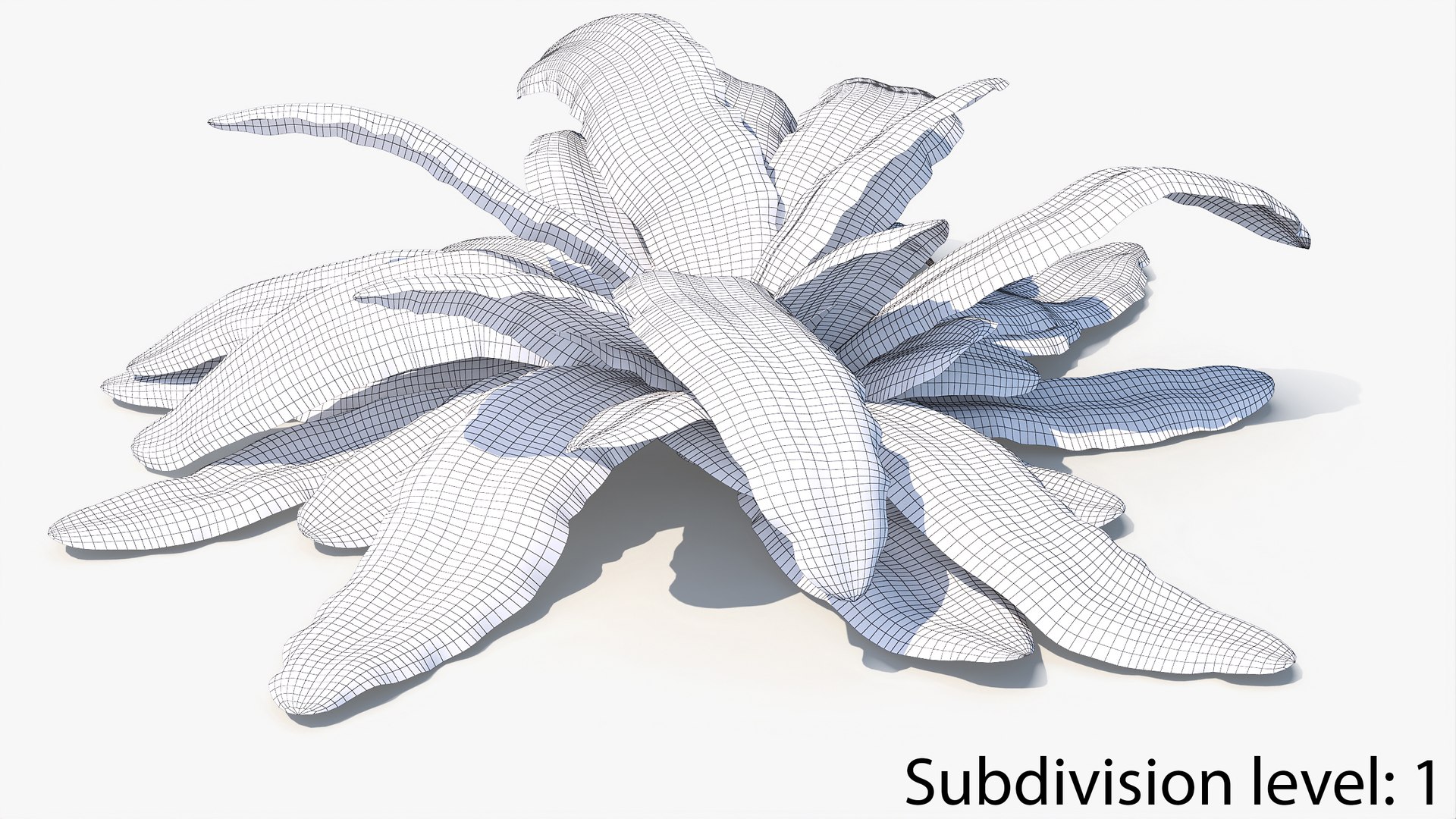 3D 01-07 fern model https://p.turbosquid.com/ts-thumb/ib/ibR5pX/LVAnLuBf/w2_0012/jpg/1598603473/1920x1080/fit_q87/01efbfdacd9afbd3a66f6e152ef4301ccce49486/w2_0012.jpg