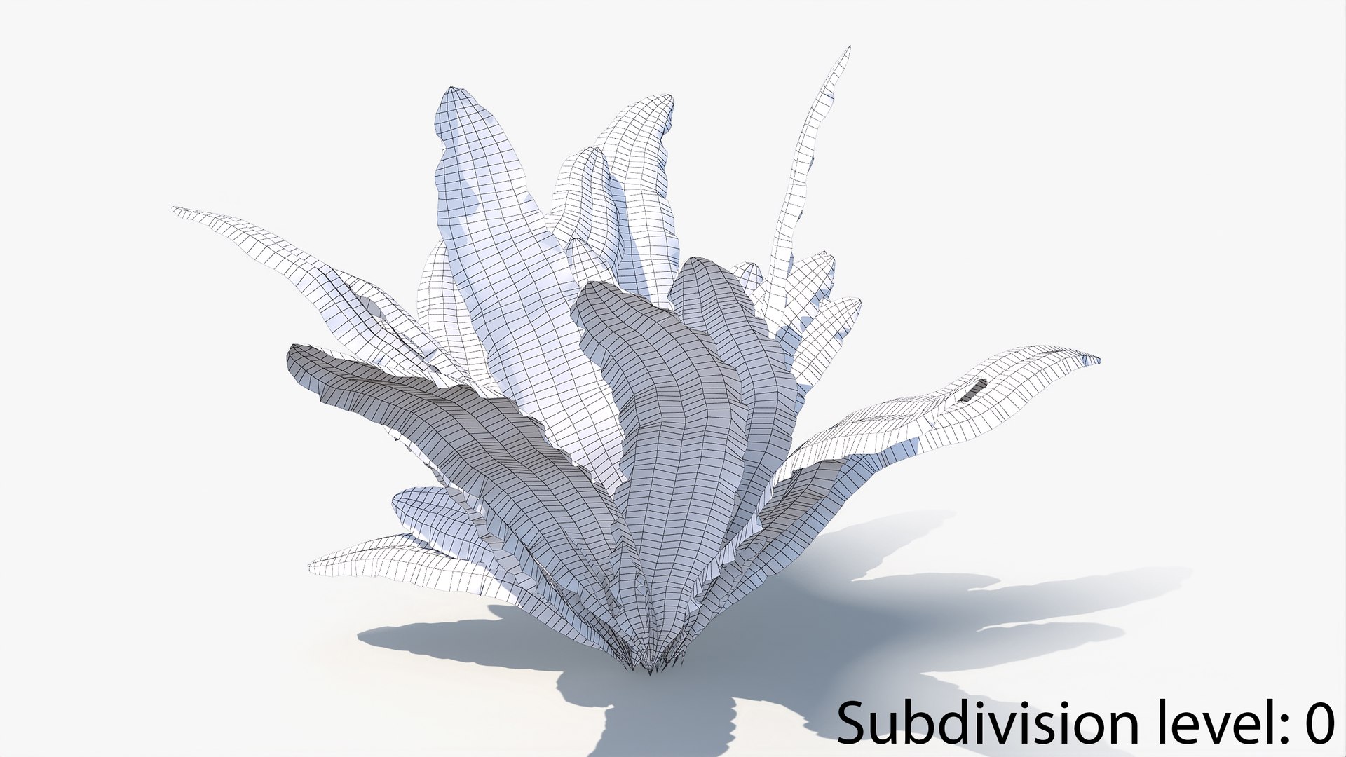 3D 01-07 fern model https://p.turbosquid.com/ts-thumb/ib/ibR5pX/Qj5eArAg/w_0006/jpg/1598603130/1920x1080/fit_q87/254538133bd7a3eded30d9a6feee50956a6ecb77/w_0006.jpg