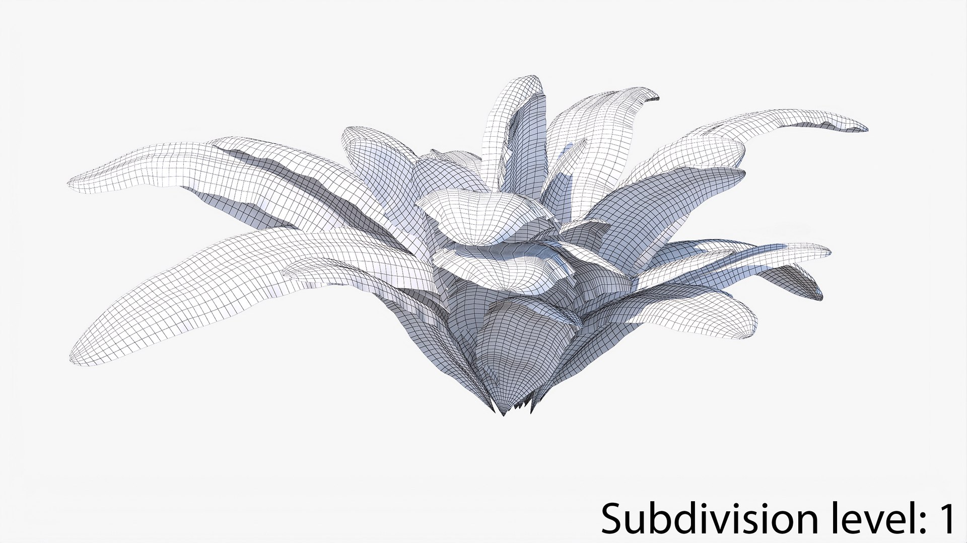 3D 01-07 fern model https://p.turbosquid.com/ts-thumb/ib/ibR5pX/SeuFqln3/w2_0000/jpg/1598603363/1920x1080/fit_q87/959bc86a9d2693538a1c0d764b397074301d031f/w2_0000.jpg