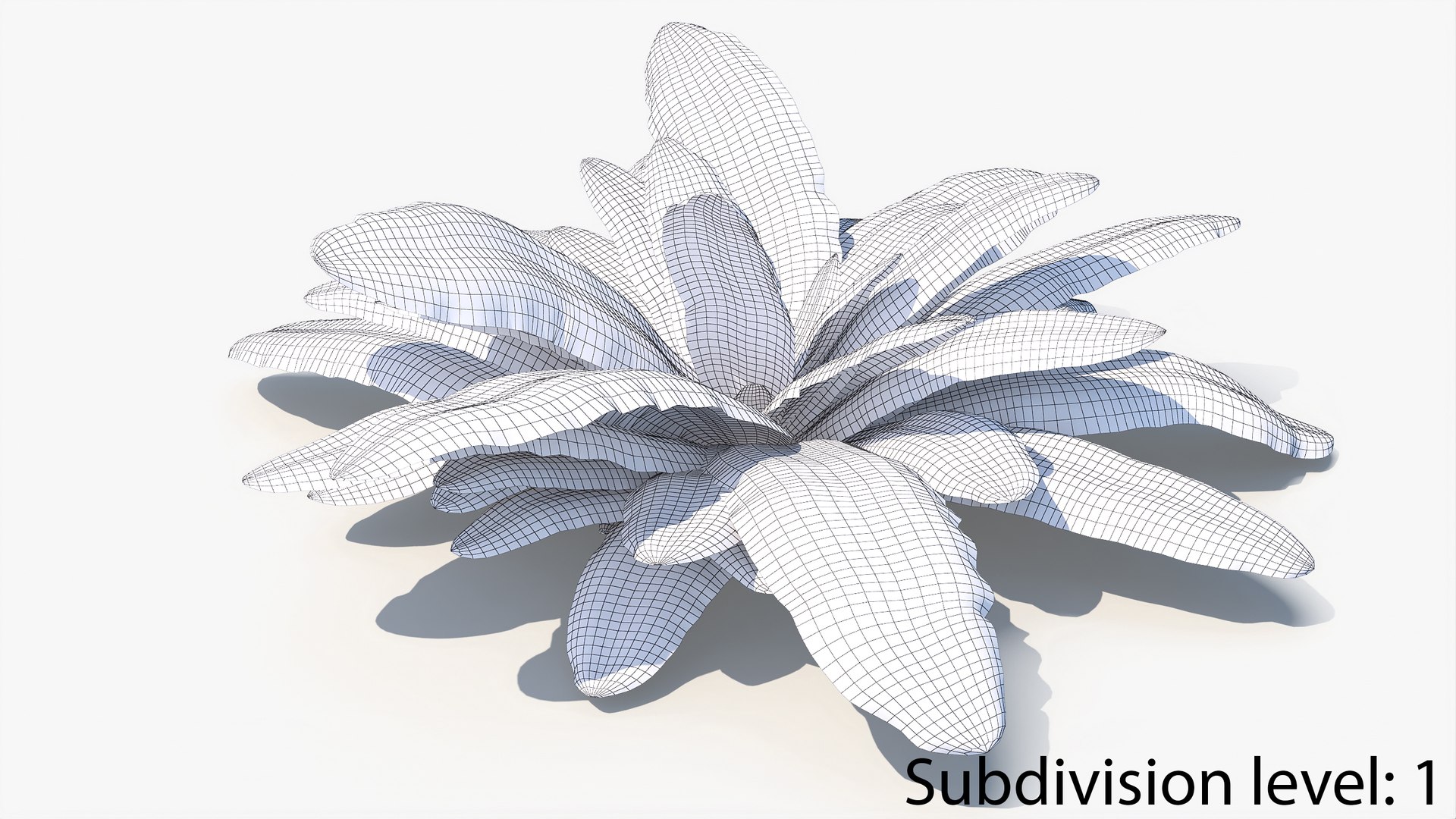 3D 01-07 fern model https://p.turbosquid.com/ts-thumb/ib/ibR5pX/VrAH8xG7/w2_0006/jpg/1598603543/1920x1080/fit_q87/fbbd2aef72c67cd992b85746017974fdedc4b153/w2_0006.jpg