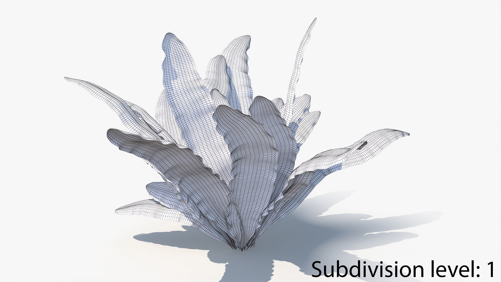 3D 01-07 fern model https://p.turbosquid.com/ts-thumb/ib/ibR5pX/W5jZsQ6X/w2_0006/jpg/1598603126/1920x1080/fit_q87/3a4ae986fae34d49555c7532ea6674df2df729e3/w2_0006.jpg