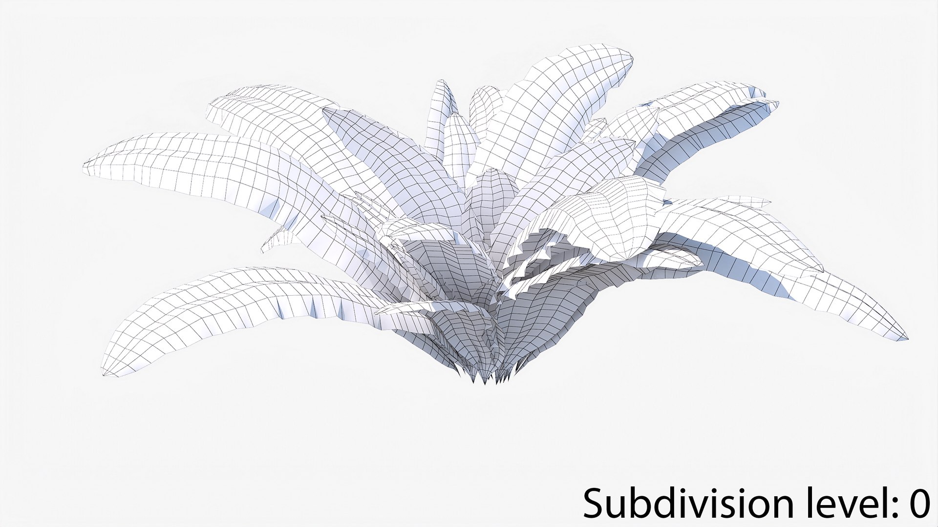 3D 01-07 fern model https://p.turbosquid.com/ts-thumb/ib/ibR5pX/W9B0PJ6E/w_0006/jpg/1598603363/1920x1080/fit_q87/77ba5d8609808aacd8f7c88c0a85a7c60925d259/w_0006.jpg