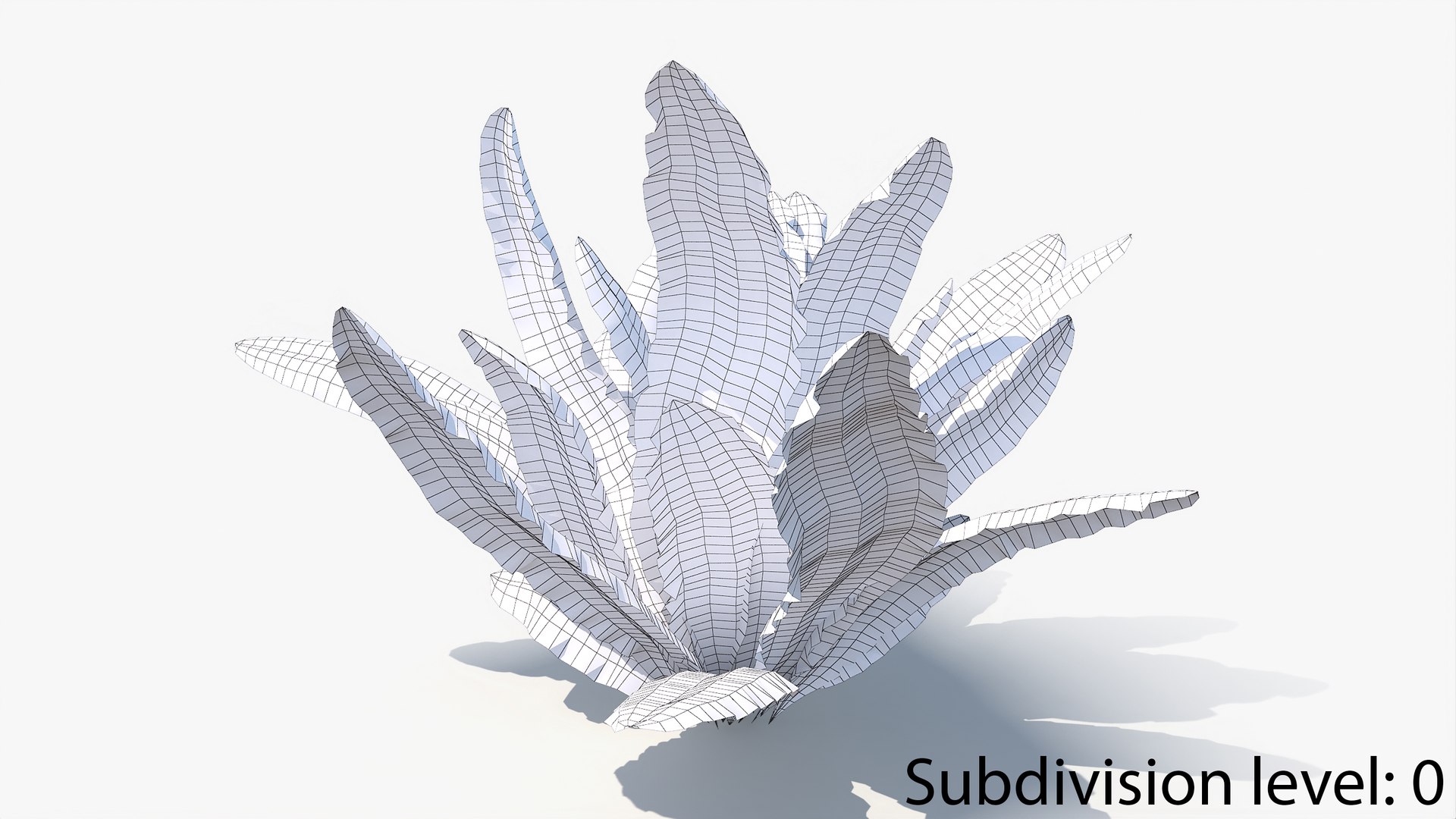 3D 01-07 fern model https://p.turbosquid.com/ts-thumb/ib/ibR5pX/ahS8SS8d/w_0006/jpg/1598603225/1920x1080/fit_q87/13c7e24e5c4a47b2716d0ebc342abf7eb9309074/w_0006.jpg