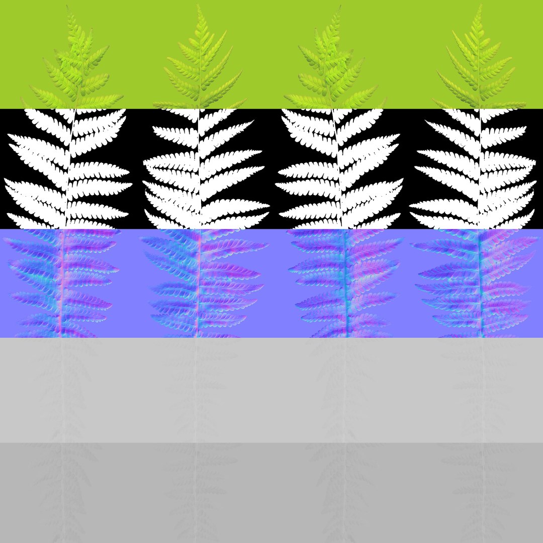 3D 01-07 fern model https://p.turbosquid.com/ts-thumb/ib/ibR5pX/ar5GMS0w/unwrap_2/jpg/1598602673/1920x1080/fit_q87/bf68db7960d8f93a4f9757fa0c29879378f00b89/unwrap_2.jpg
