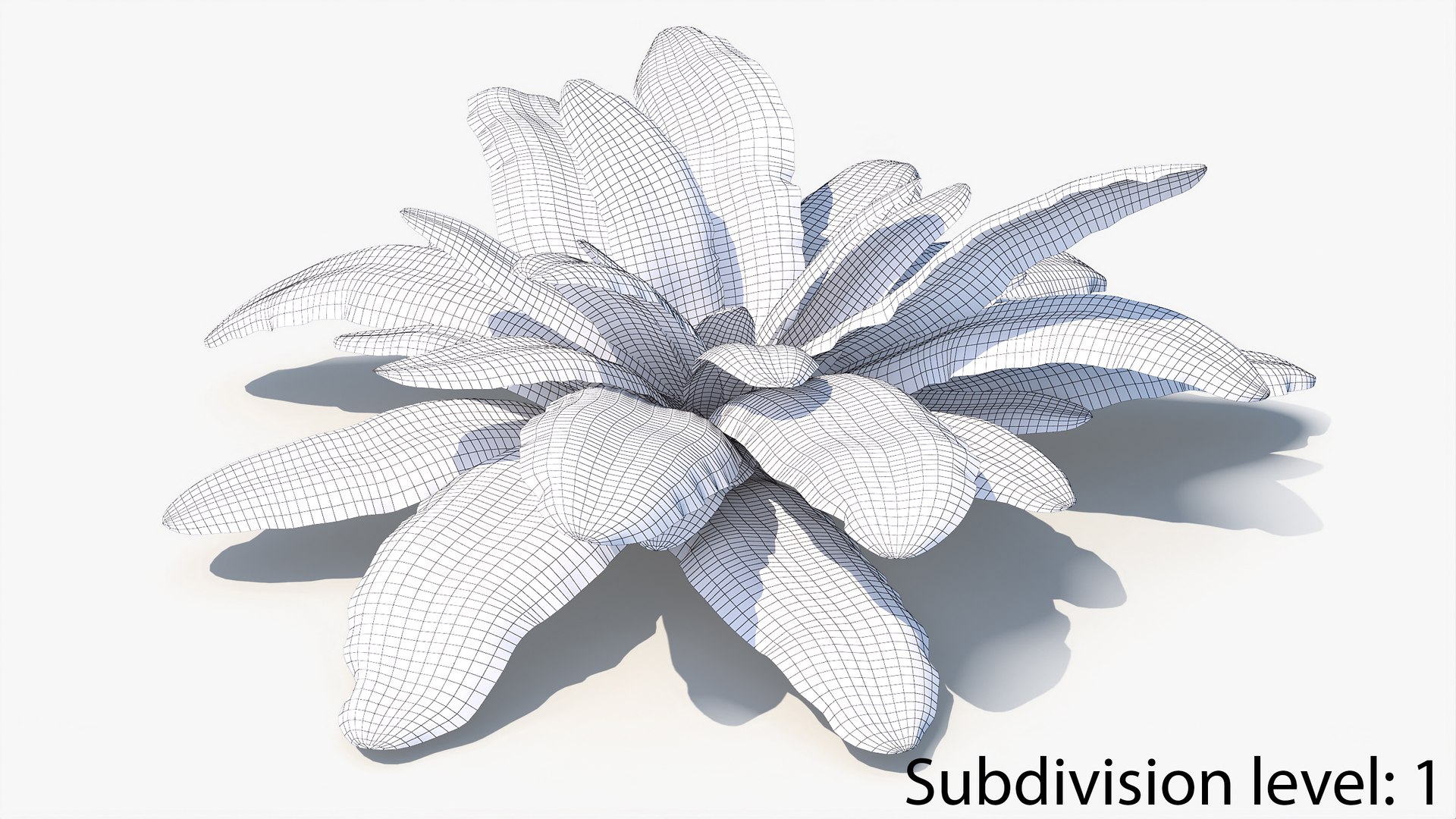 3D 01-07 fern model https://p.turbosquid.com/ts-thumb/ib/ibR5pX/arMgAL9A/w2_0000/jpg/1598603537/1920x1080/fit_q87/971958c2f1682ce0c6d3e34abf48d2300298bba1/w2_0000.jpg