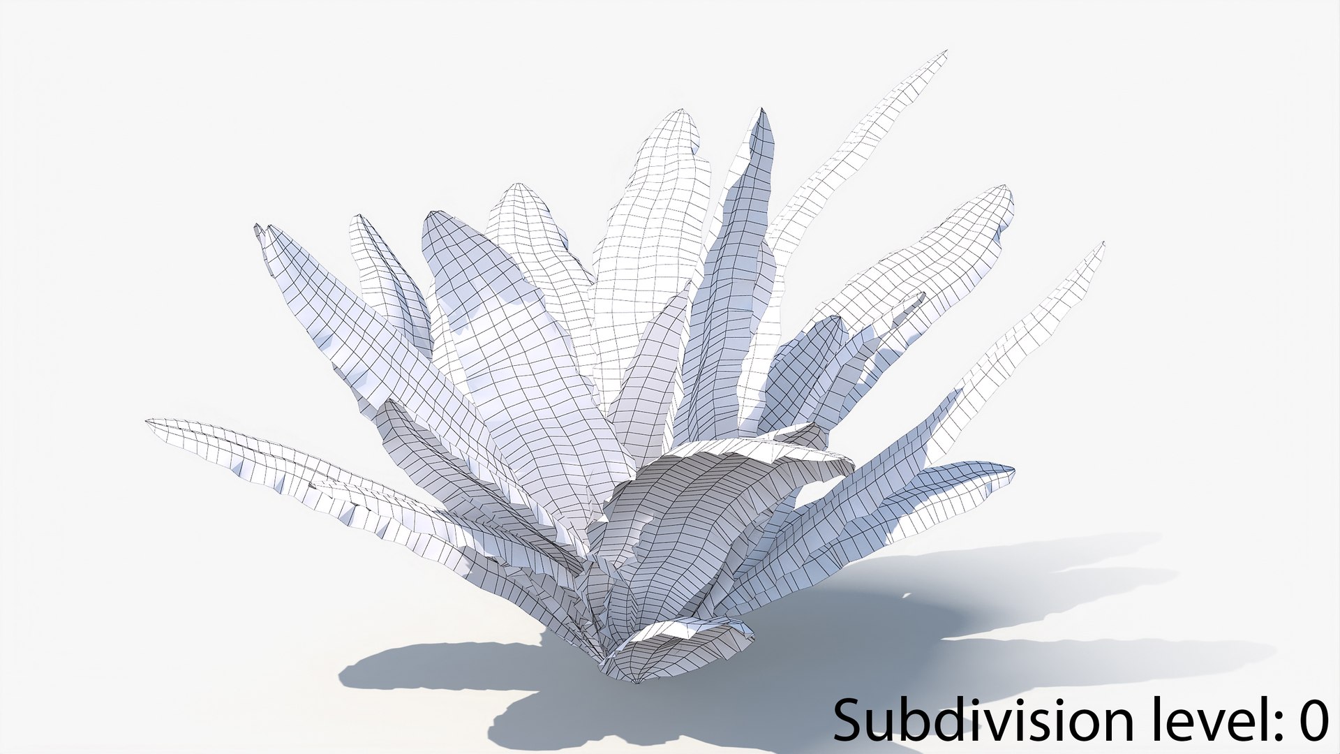 3D 01-07 fern model https://p.turbosquid.com/ts-thumb/ib/ibR5pX/bGP80tBc/w_0012/jpg/1598603229/1920x1080/fit_q87/b9b0b14fd24e08f49272490c428c73549d8035be/w_0012.jpg