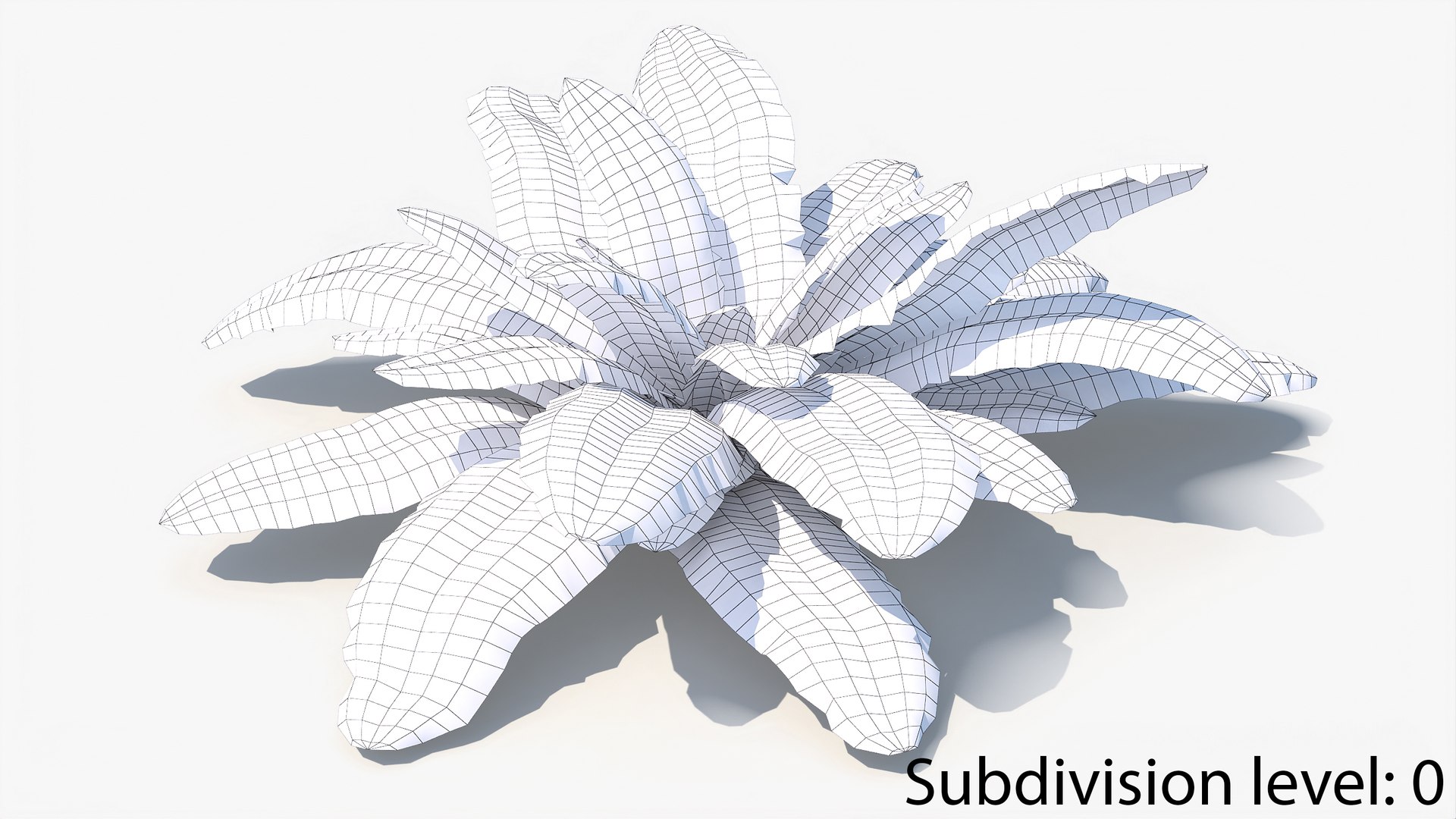 3D 01-07 fern model https://p.turbosquid.com/ts-thumb/ib/ibR5pX/bUOtyc9f/w_0000/jpg/1598603536/1920x1080/fit_q87/7296774fa598f636b0d4f9f2b4f26c1edfc2aa12/w_0000.jpg