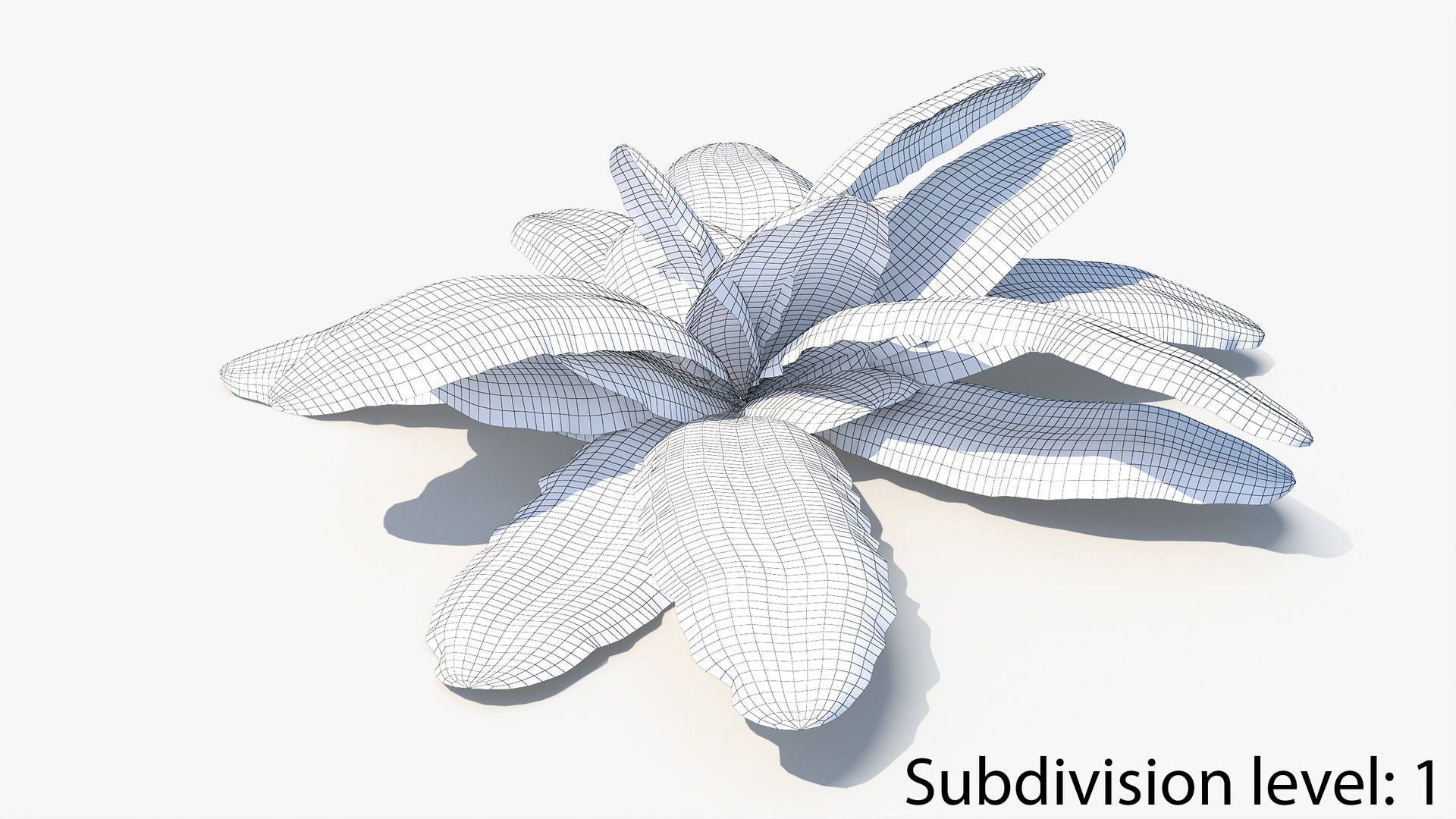 3D 01-07 fern model https://p.turbosquid.com/ts-thumb/ib/ibR5pX/cXshlSzj/w2_0000/jpg/1598602862/1920x1080/fit_q87/5ee02c3be5d95de0bf16235b16f27bbb762aaabc/w2_0000.jpg