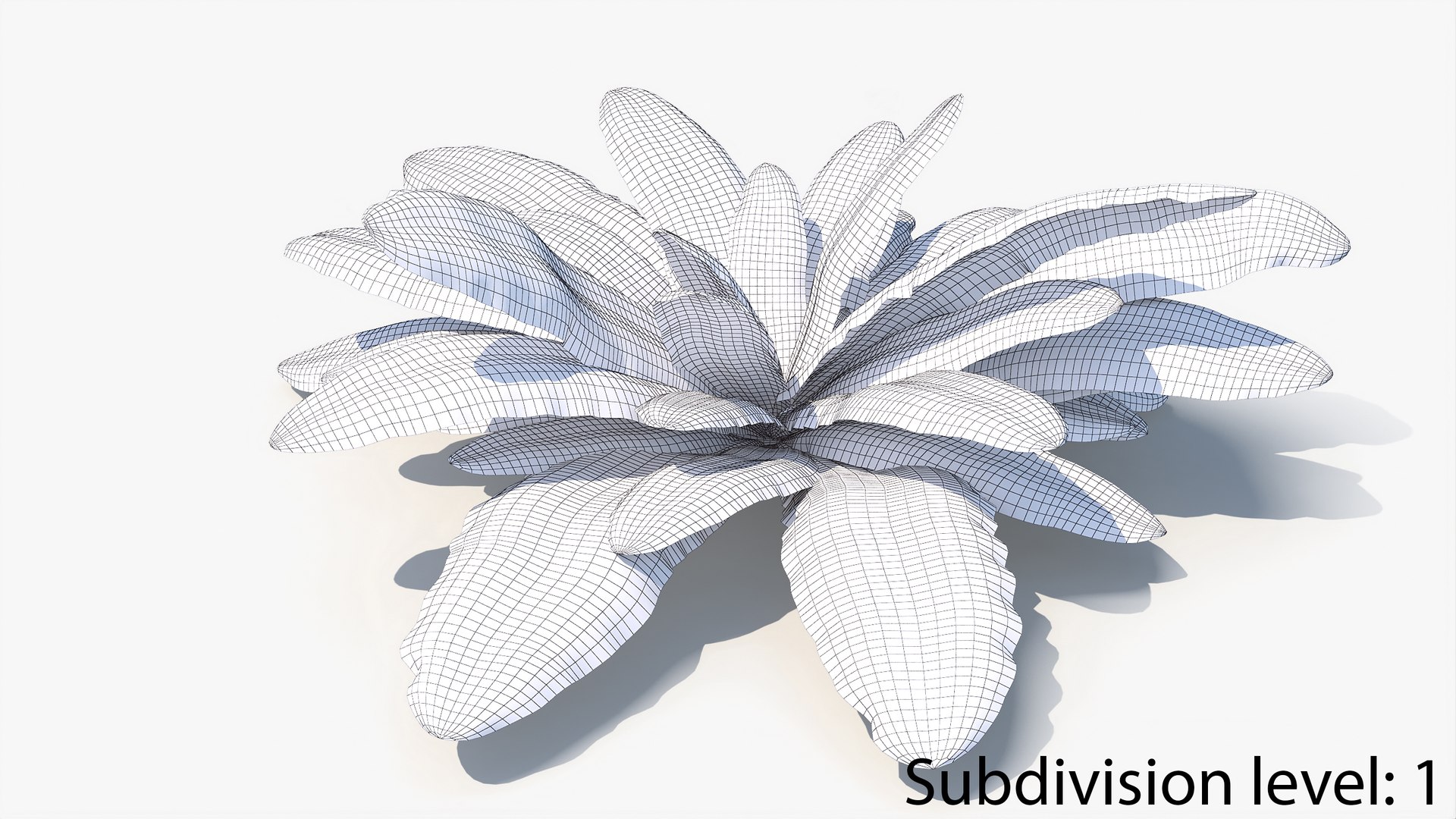 3D 01-07 fern model https://p.turbosquid.com/ts-thumb/ib/ibR5pX/eYnxl56d/w2_0012/jpg/1598603543/1920x1080/fit_q87/3f96fc91c7cec3b20283e029918f64cde0890d72/w2_0012.jpg
