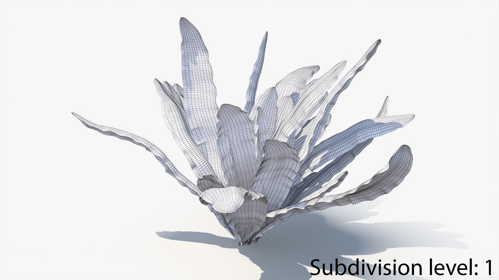 3D 01-07 fern model https://p.turbosquid.com/ts-thumb/ib/ibR5pX/gKB7GaYM/w2_0000/jpg/1598603126/1920x1080/fit_q87/f28ef8b5b1e2177b77f9212ea2c7d837b831e4c4/w2_0000.jpg