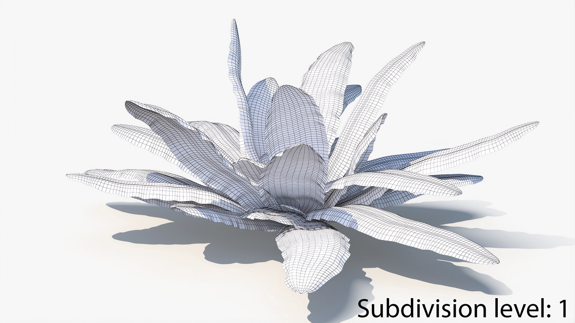 3D 01-07 fern model https://p.turbosquid.com/ts-thumb/ib/ibR5pX/iOZfuJ9C/w2_0000/jpg/1598602992/1920x1080/fit_q87/e08459fa3bda520ae52930e9ffeb7c46983e6032/w2_0000.jpg