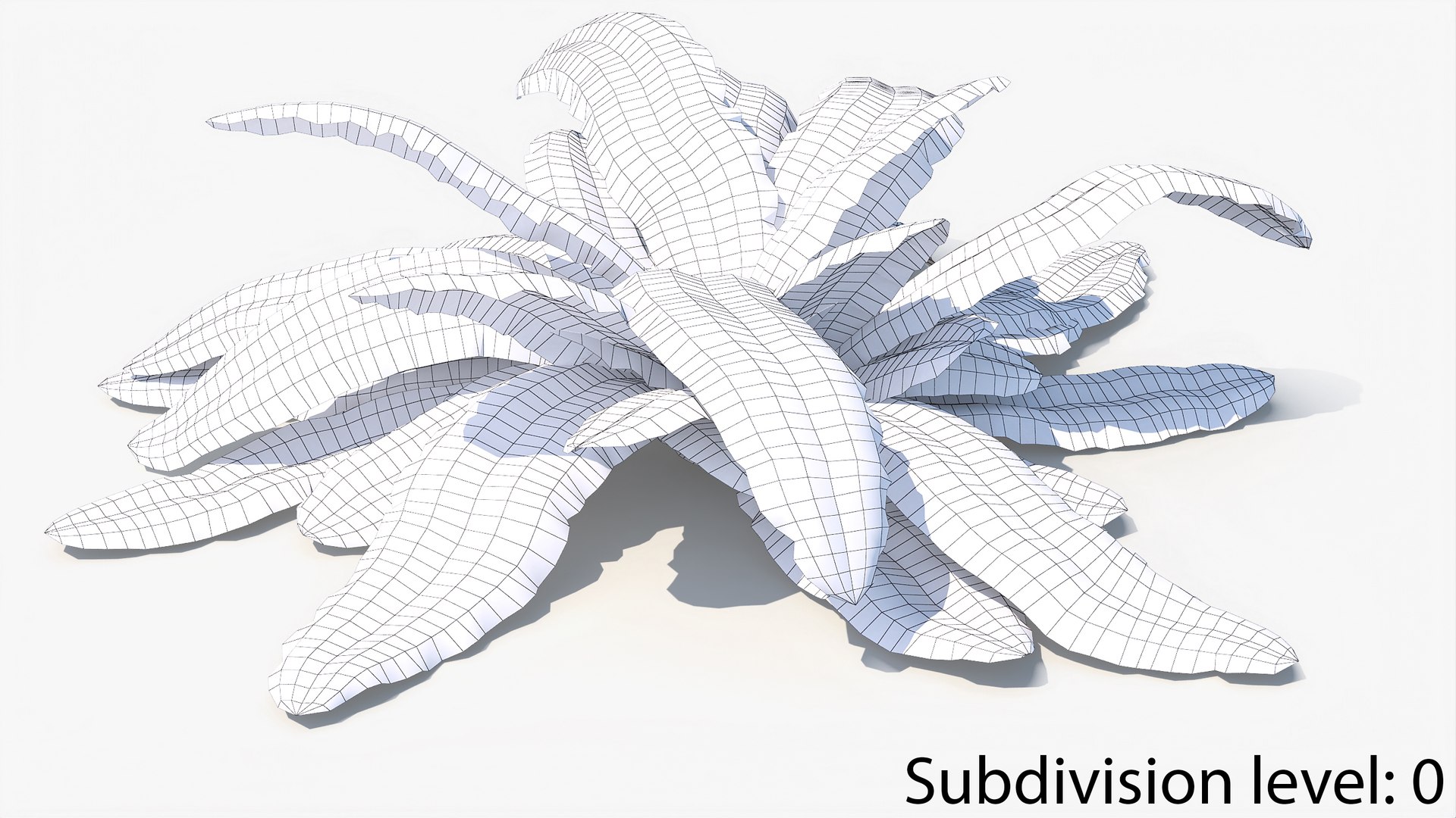 3D 01-07 fern model https://p.turbosquid.com/ts-thumb/ib/ibR5pX/iSPcPoCq/w_0012/jpg/1598603465/1920x1080/fit_q87/75d0d652046f54c4d0dffc5c3f38d98b092b5b06/w_0012.jpg