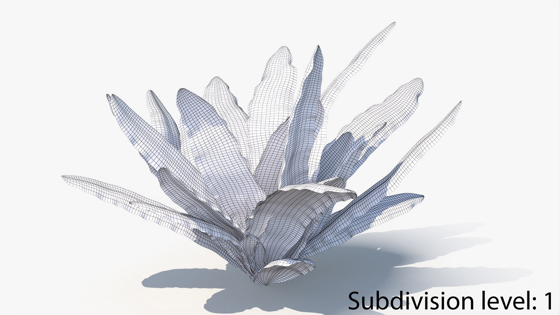 3D 01-07 fern model https://p.turbosquid.com/ts-thumb/ib/ibR5pX/mEWf7ahl/w2_0012/jpg/1598603230/1920x1080/fit_q87/7cff5f76f5941e62879219252887436313ac857d/w2_0012.jpg