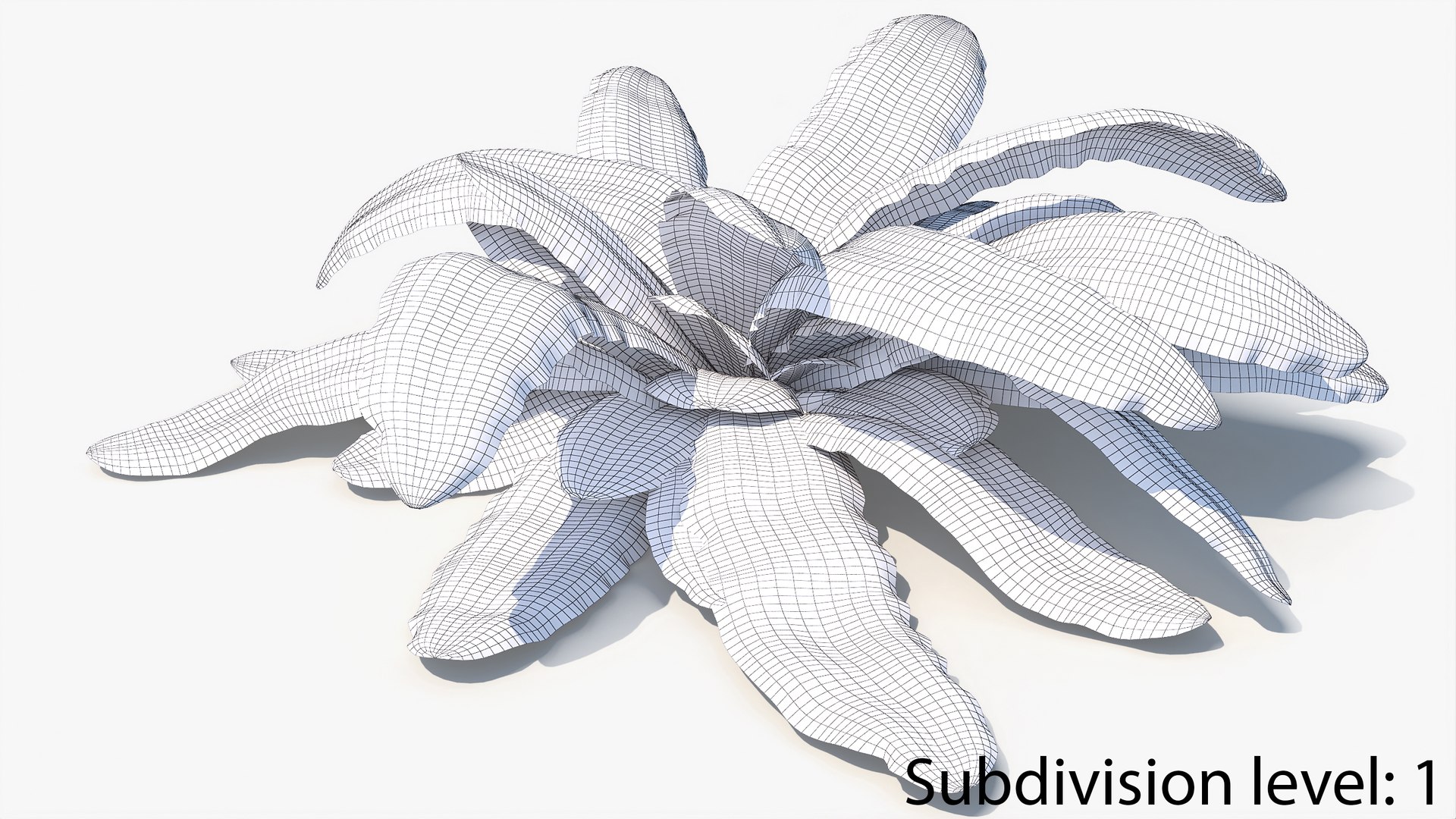 3D 01-07 fern model https://p.turbosquid.com/ts-thumb/ib/ibR5pX/neTPfzBv/w2_0006/jpg/1598603469/1920x1080/fit_q87/7fbf8b90fb32ac4786bf3f9b655f647e6680f611/w2_0006.jpg
