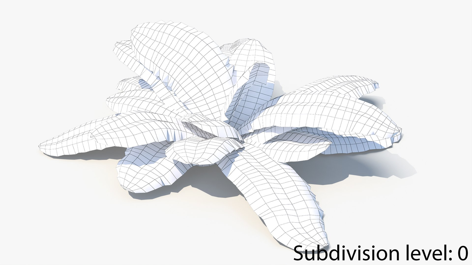 3D 01-07 fern model https://p.turbosquid.com/ts-thumb/ib/ibR5pX/pSUieIqu/w_0006/jpg/1598602858/1920x1080/fit_q87/163786a17c406fcc124b95af1e9a9e08f7feb9bc/w_0006.jpg