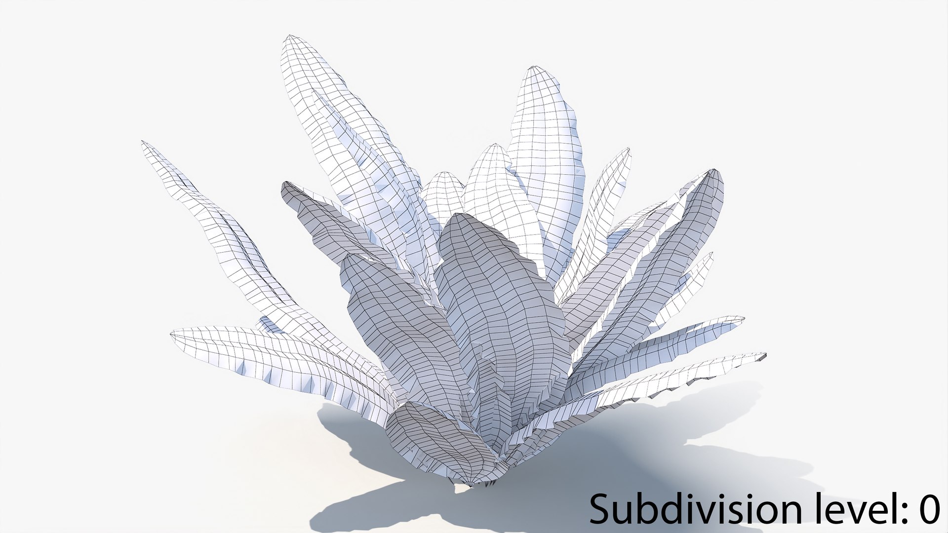 3D 01-07 fern model https://p.turbosquid.com/ts-thumb/ib/ibR5pX/qzU6bp2X/w_0000/jpg/1598603225/1920x1080/fit_q87/7f3d955dfef6ad7f4ac87e490dce99d71c49a146/w_0000.jpg