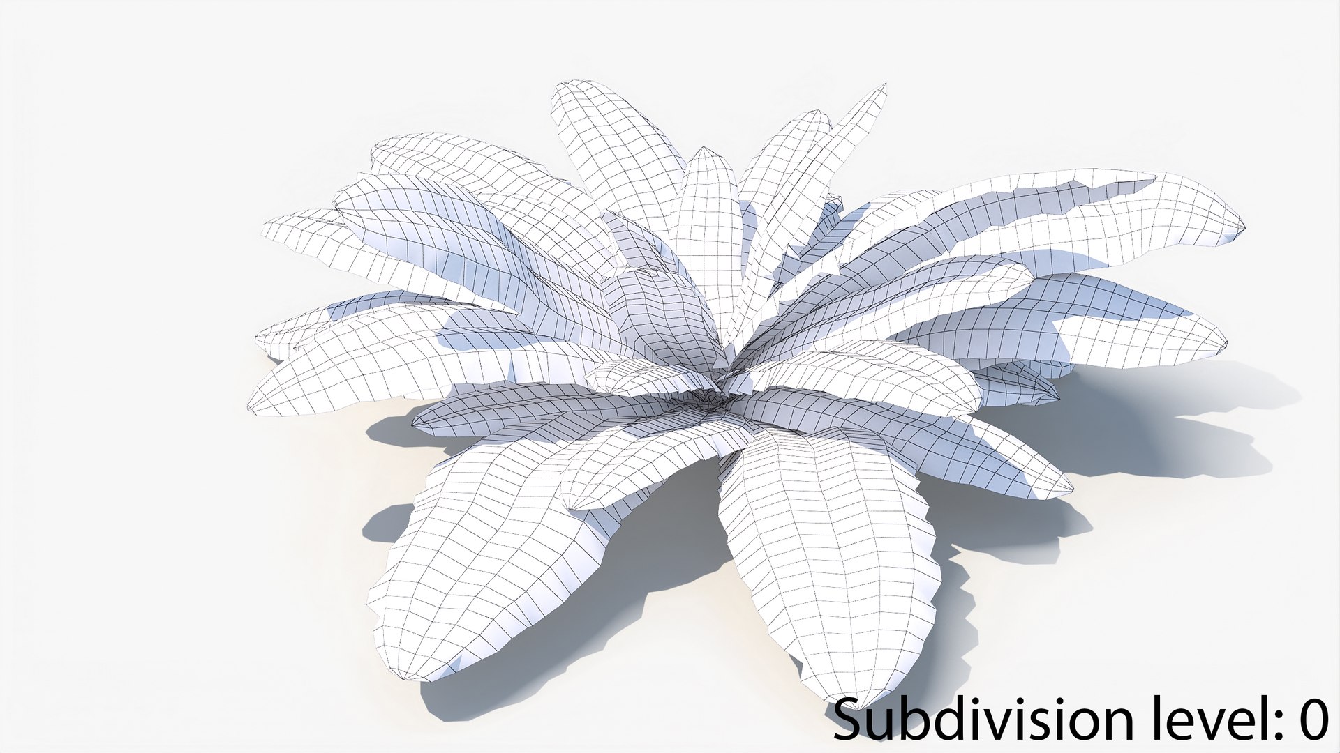 3D 01-07 fern model https://p.turbosquid.com/ts-thumb/ib/ibR5pX/t9WTTizt/w_0012/jpg/1598603535/1920x1080/fit_q87/6930bb3e7963e17b73d100871e061429e1e7c426/w_0012.jpg