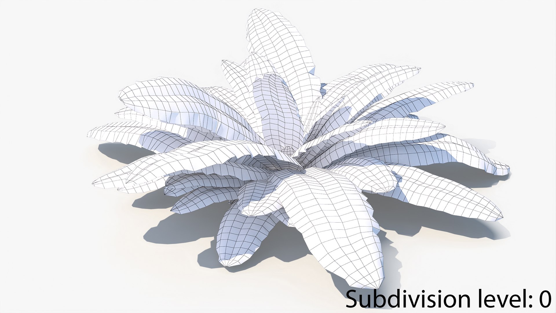 3D 01-07 fern model https://p.turbosquid.com/ts-thumb/ib/ibR5pX/w0ouPTkQ/w_0006/jpg/1598603536/1920x1080/fit_q87/1a04d54f483020956df534f311baa4eb6038d3a9/w_0006.jpg