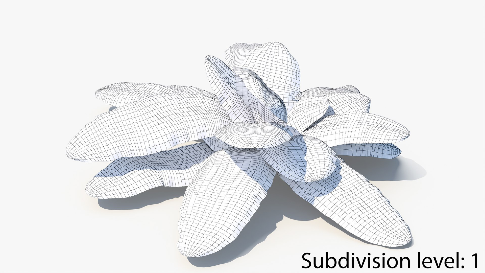 3D 01-07 fern model https://p.turbosquid.com/ts-thumb/ib/ibR5pX/xzTUi4Gn/w2_0012/jpg/1598602862/1920x1080/fit_q87/04a3b4111b29600426fa51989810ddf6d92e7323/w2_0012.jpg