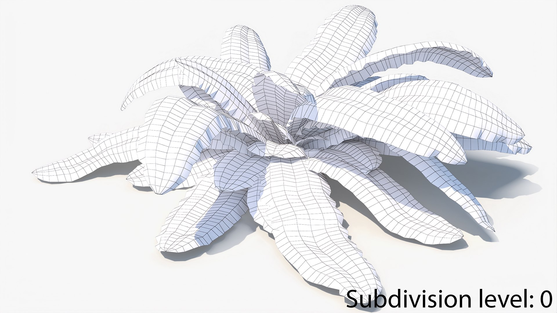 3D 01-07 fern model https://p.turbosquid.com/ts-thumb/ib/ibR5pX/y5EMMzsS/w_0006/jpg/1598603466/1920x1080/fit_q87/01dbd6d1e8832a431d28ee4cd2688bdc3c38e589/w_0006.jpg