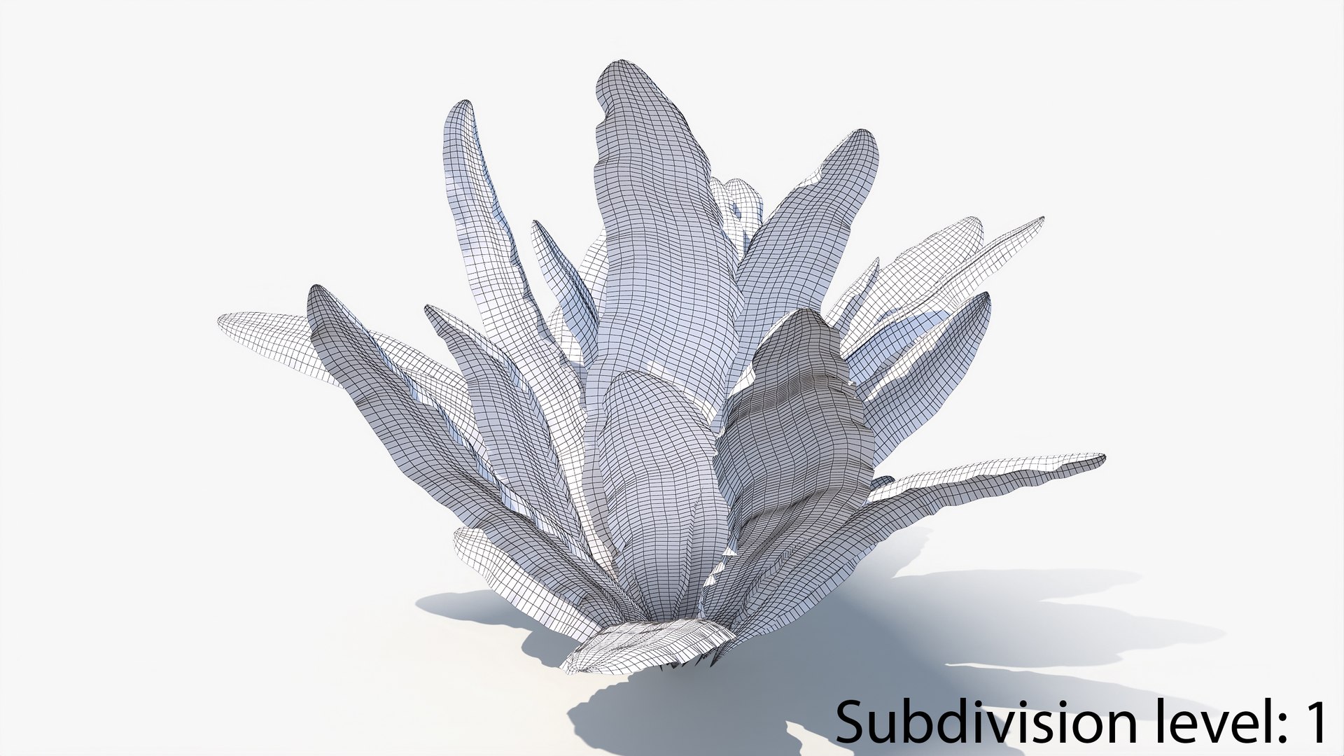 3D 01-07 fern model https://p.turbosquid.com/ts-thumb/ib/ibR5pX/zoWmtgjA/w2_0006/jpg/1598603226/1920x1080/fit_q87/c352a45dbf7d5ce6b183082a735a81de1253c03f/w2_0006.jpg