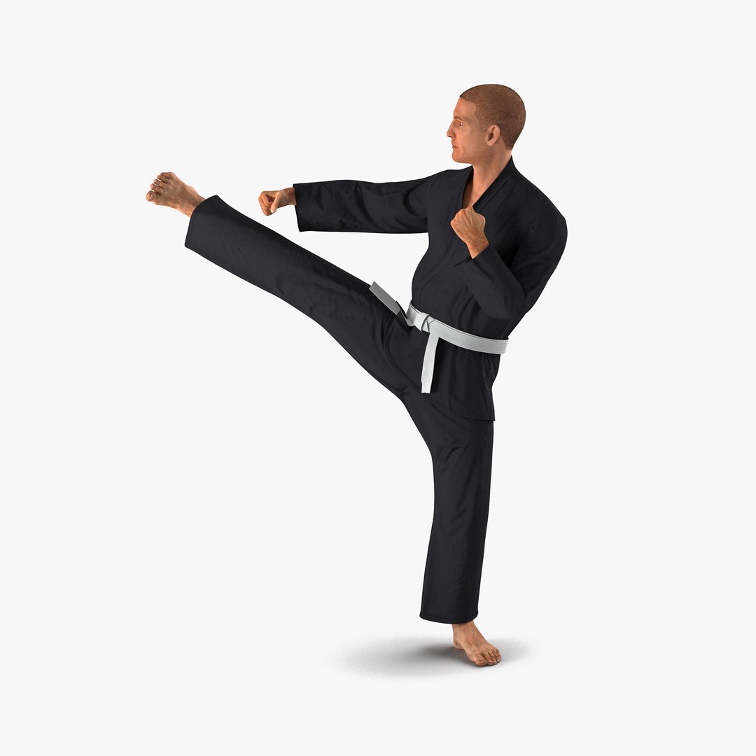 Karate Fighter Pose 2 Black Suit with Fur 3D Model 3D model preview