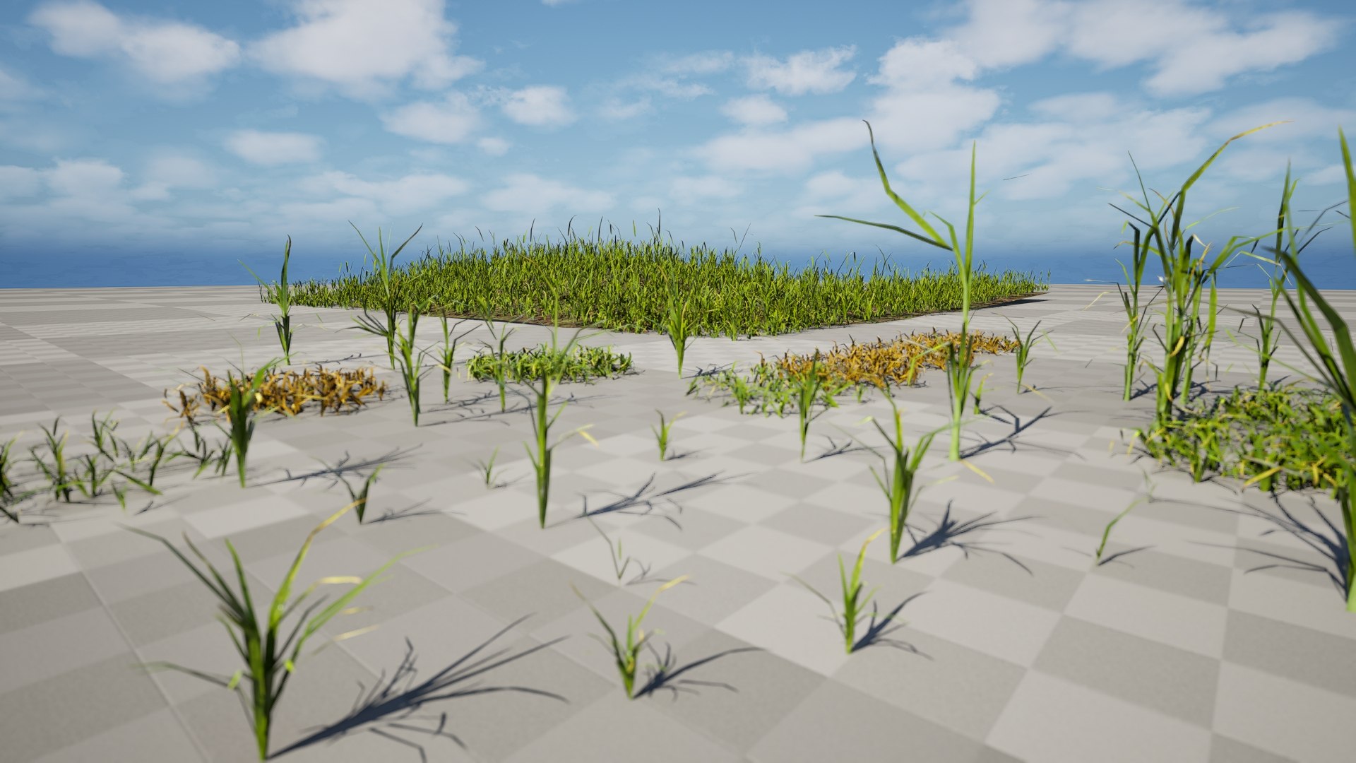 Lush Grass 3D Collection Individual  Pre Built Meadow 3D https://p.turbosquid.com/ts-thumb/ic/0BJwmW/7p/z02.0174/jpeg/1746661864/1920x1080/fit_q87/0813ec31a4d9ffd7d7f14d45d67c15b0ef14575d/z02.0174.jpg