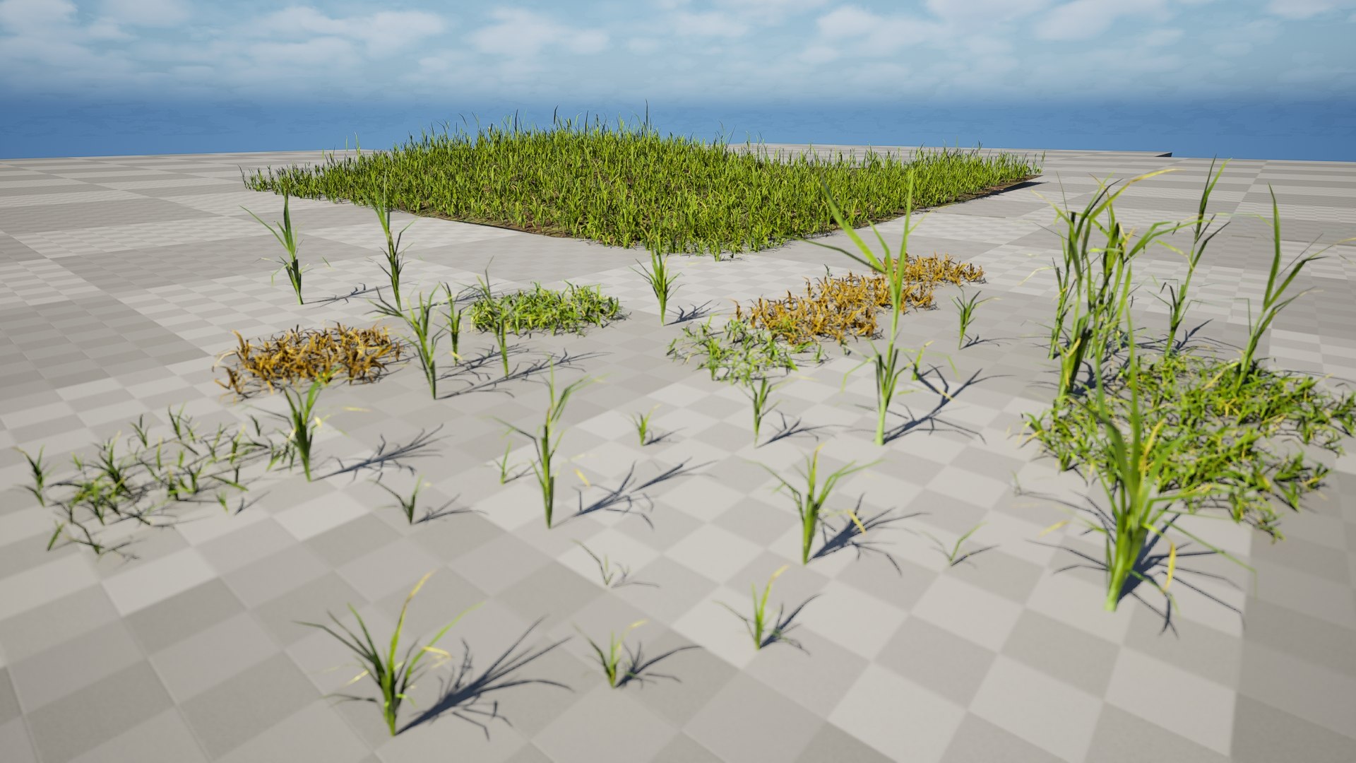 Lush Grass 3D Collection Individual  Pre Built Meadow 3D https://p.turbosquid.com/ts-thumb/ic/0BJwmW/nu/02.0019/jpeg/1746661853/1920x1080/fit_q87/a0d5652da3cfc3331f6dc2db0131765f9614ebe4/02.0019.jpg